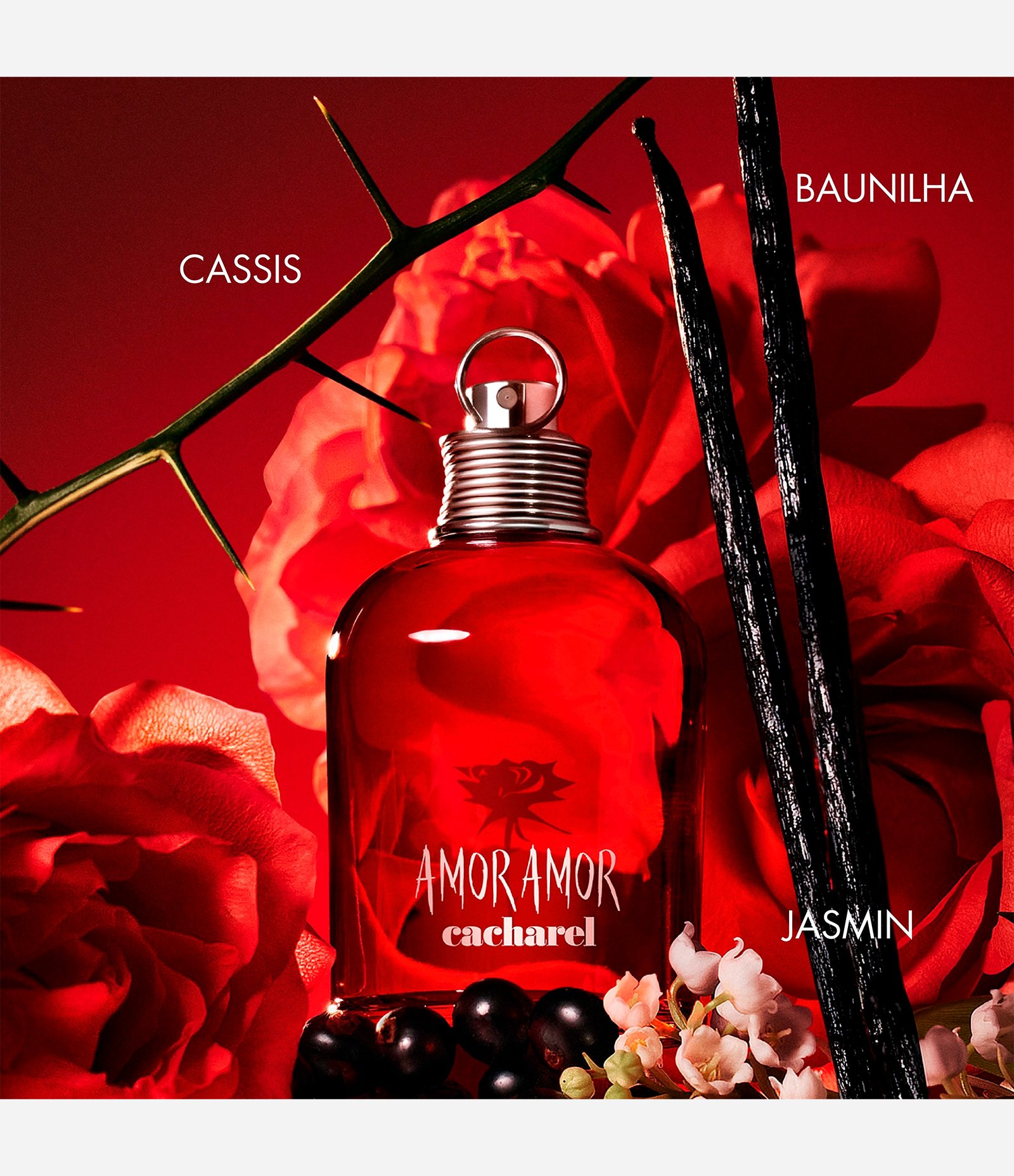 Perfume Cacharel Amor Amor Feminino Eau de Toilette 30ml 4