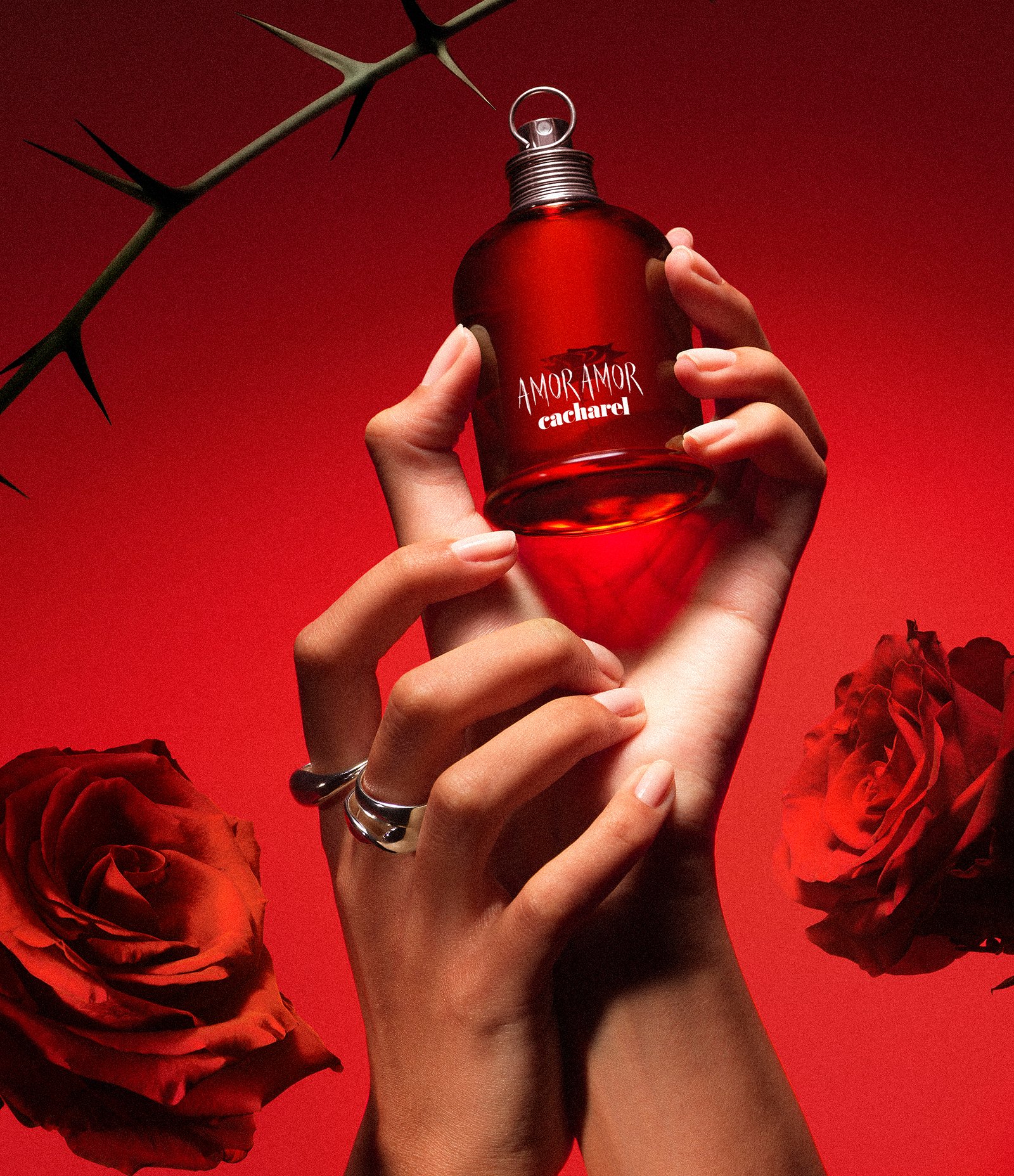 Perfume Cacharel Amor Amor Feminino Eau de Toilette 30ml 5