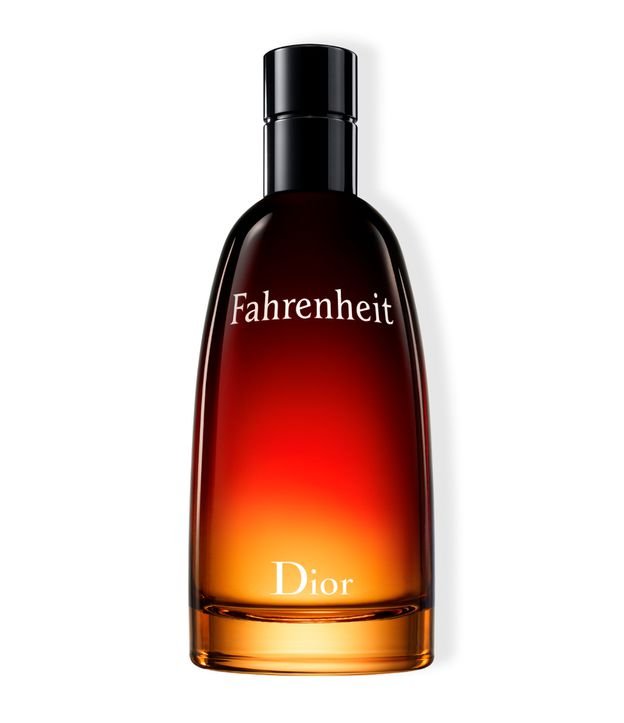 Perfume Dior Fahrenheit Masculino Eau de Toilette 100ml 1