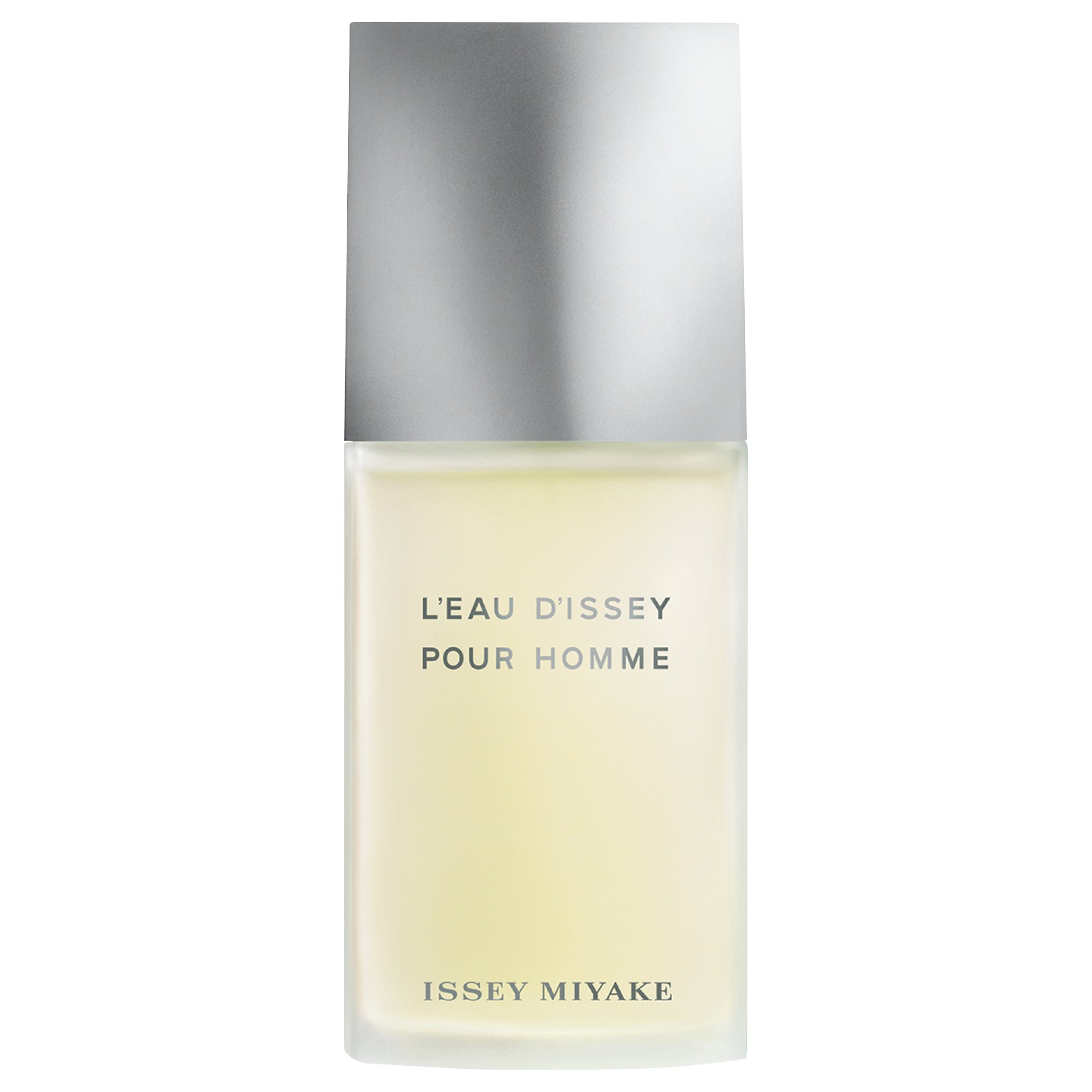 Perfume Masculino L'Eau D'issey Pour Homme Eau de Toilette - Issey Miyake 75ml 1