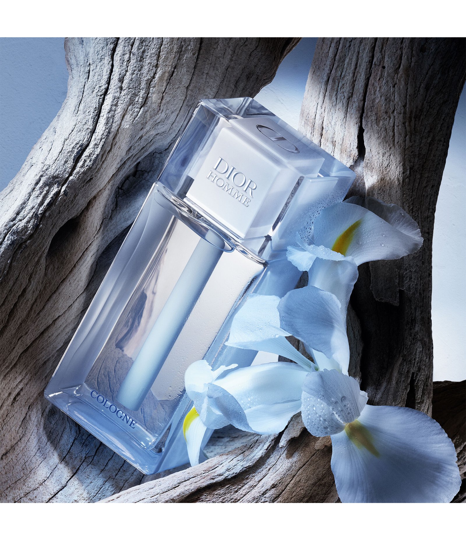 Perfume Dior Homme Cologne Eau De Toilette 125ml 4