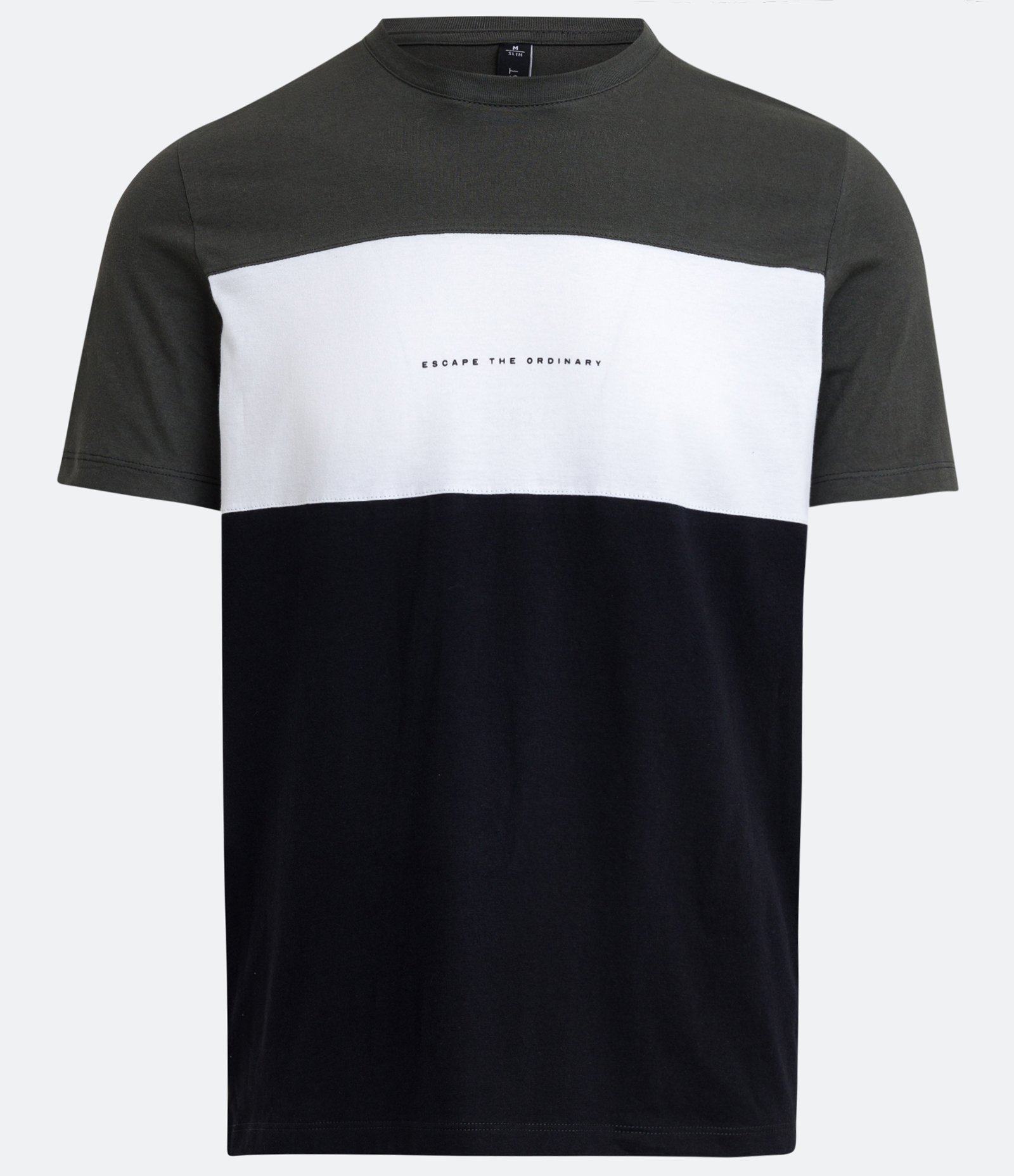 Camiseta Regular em Bloco de Cores e Estampa Lettering Verde/Branco/Preto 1