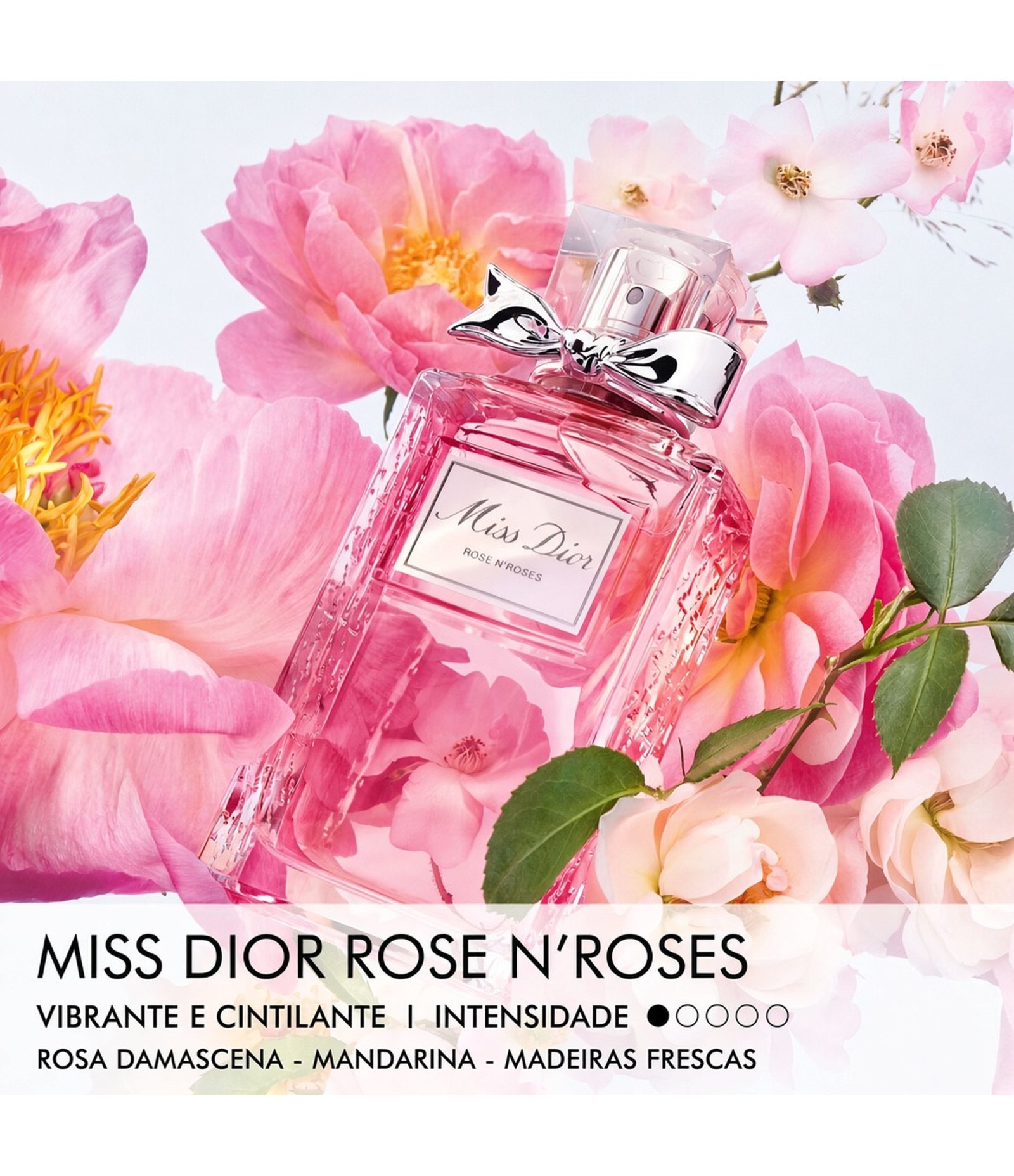 Perfume Miss Dior Roses N' Roses 30ml 3