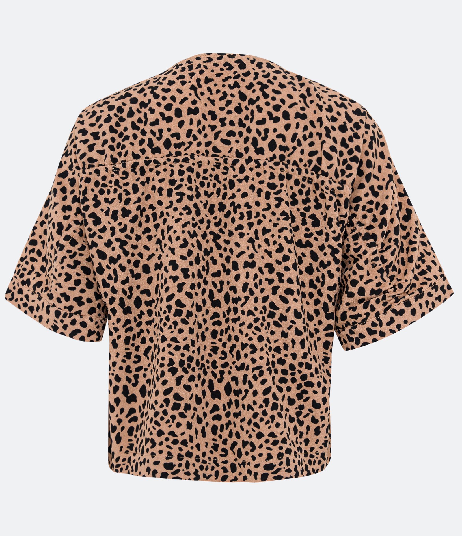 Blusa em Crepe com Decote V com Amarração e Estampa Animal Print Bege 2