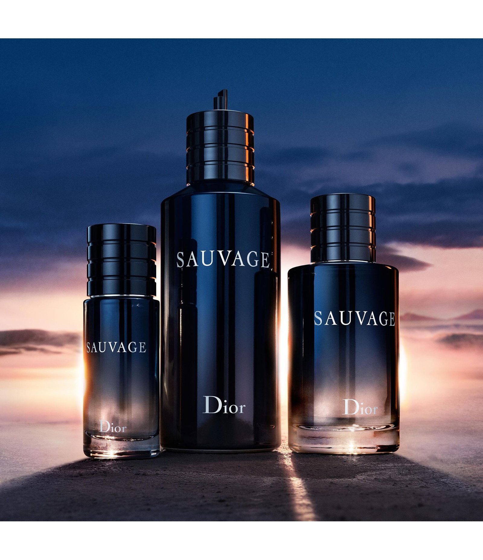 Perfume Sauvage Dior EDT Refilável 30ml 7