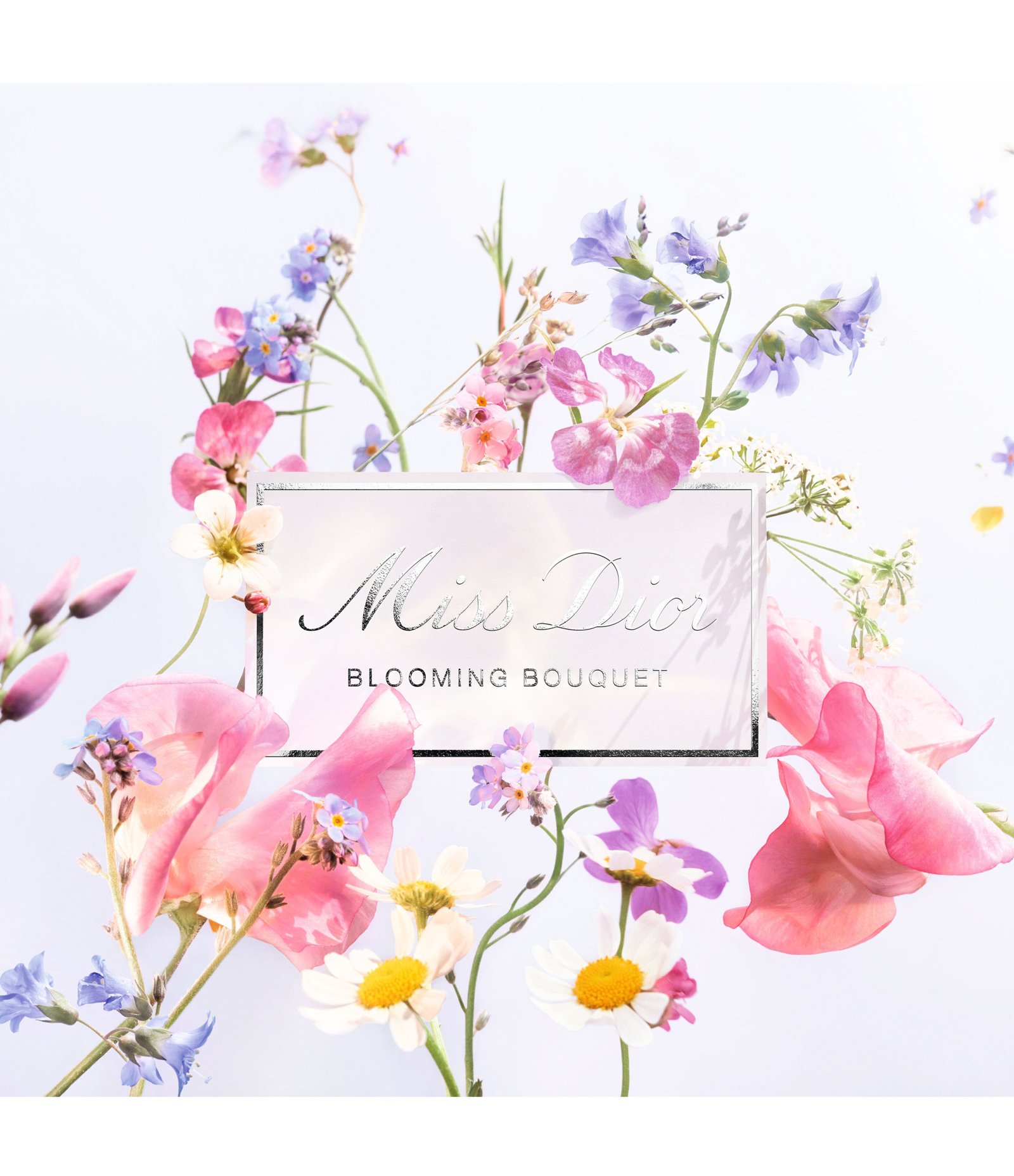 Perfume Miss Dior Blooming Bouquet Eau de Toilette 5