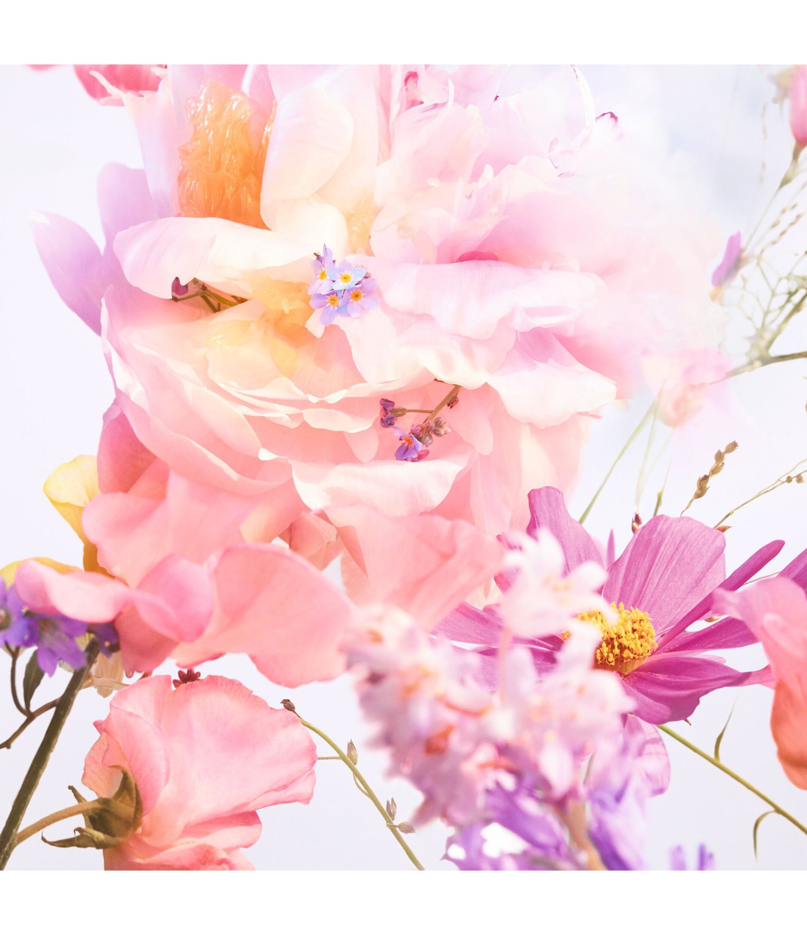 Perfume Miss Dior Blooming Bouquet Eau de Toilette 6