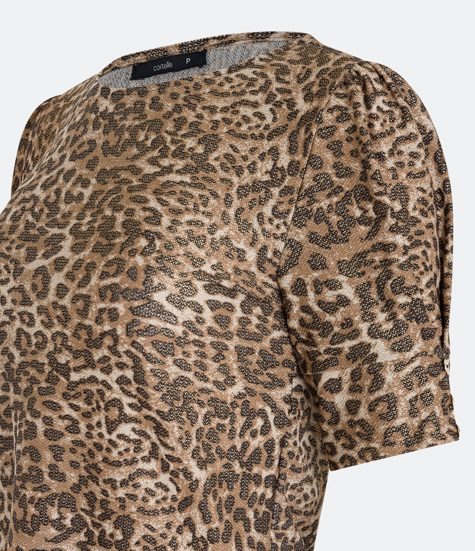 Blusa Manga Bufante em Viscose com Pintas de Onça Estampadas Marrom 2