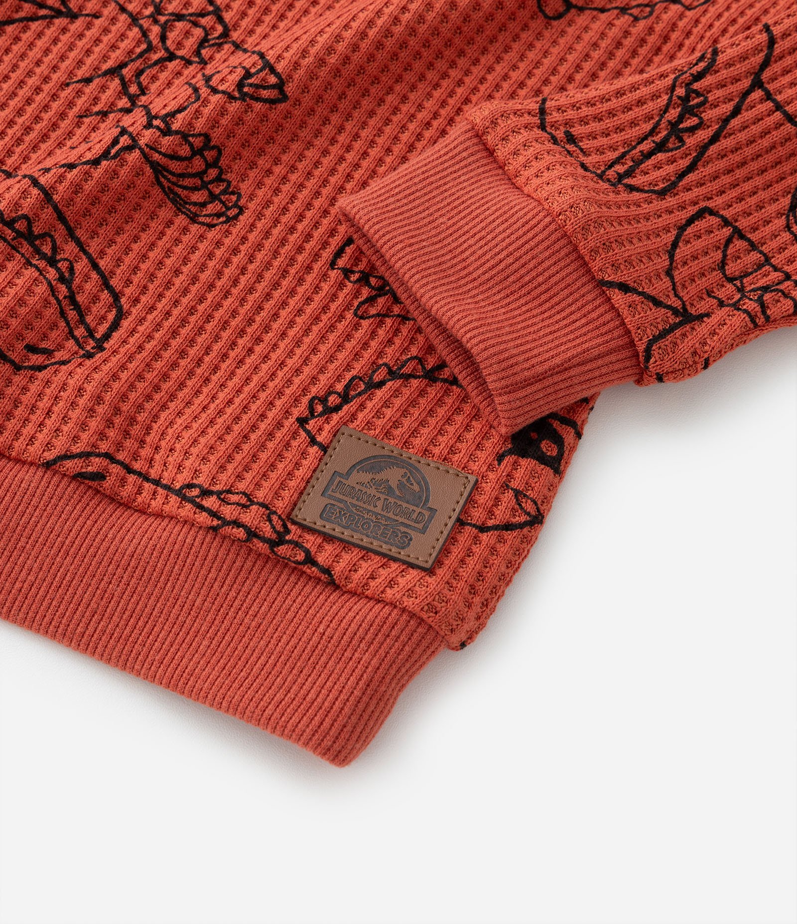 Camiseta Infantil em Malha Waffle Texturizada Estampa Jurassic Baby - Tam 2 a 5 anos Laranja 5