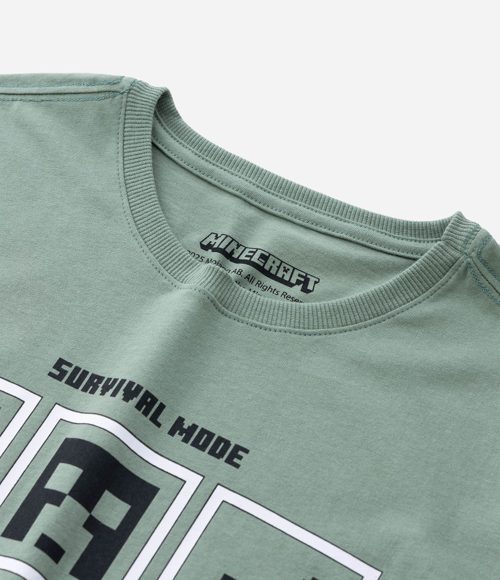 Camiseta Infantil com Estampa Minecraft - Tam 5 a 14 Anos Verde 4