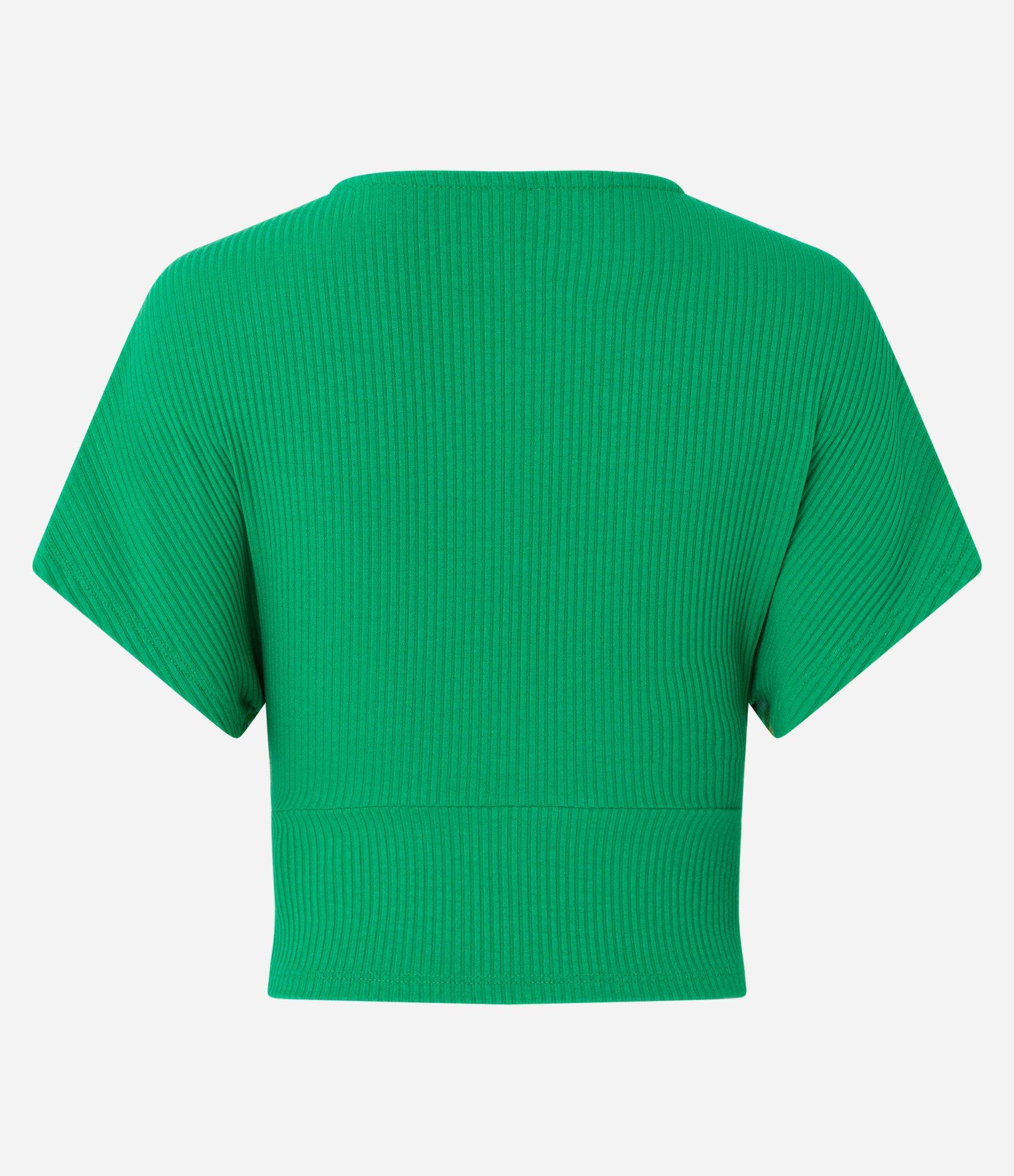 Blusa em Ribana com Estampa Tropical nas Mangas e Busto Verde 3