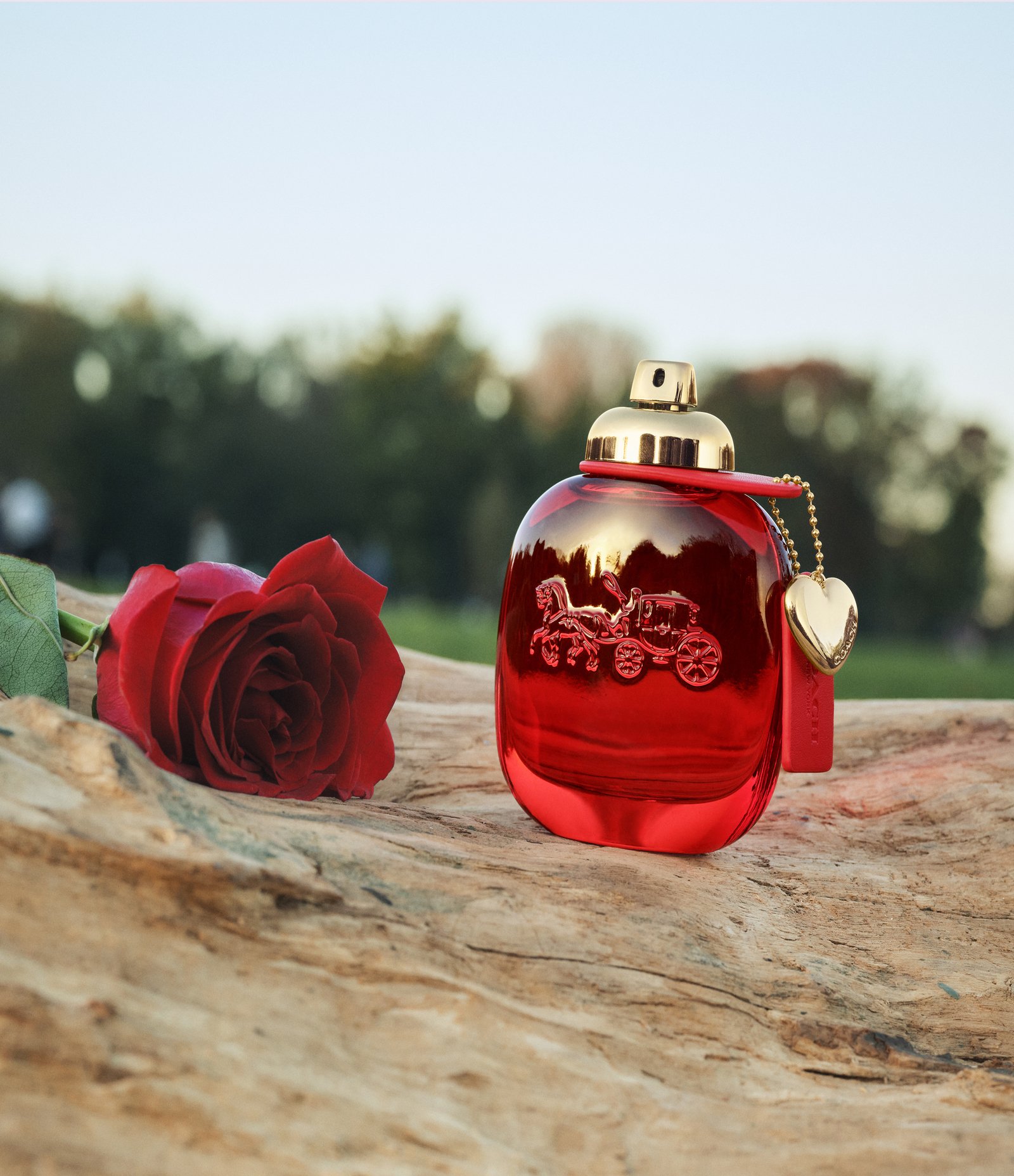 Perfume Coach Love Eau de Parfum 50ml 3