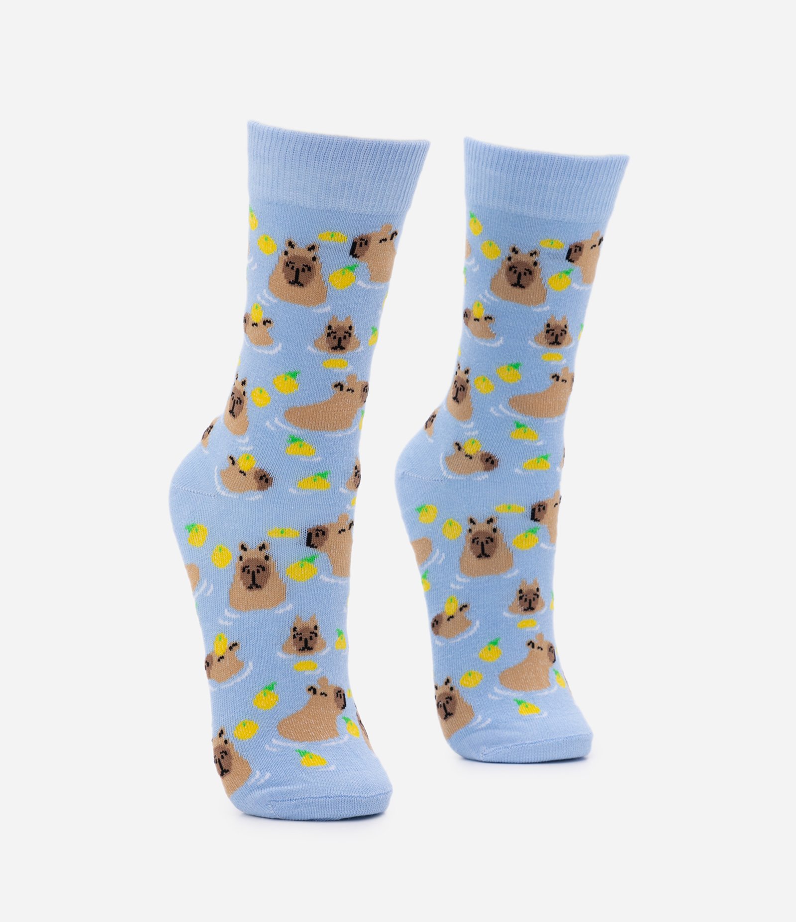 Meia Cano Alto em Algodão com Estampa Capivarinha na Água Azul 2