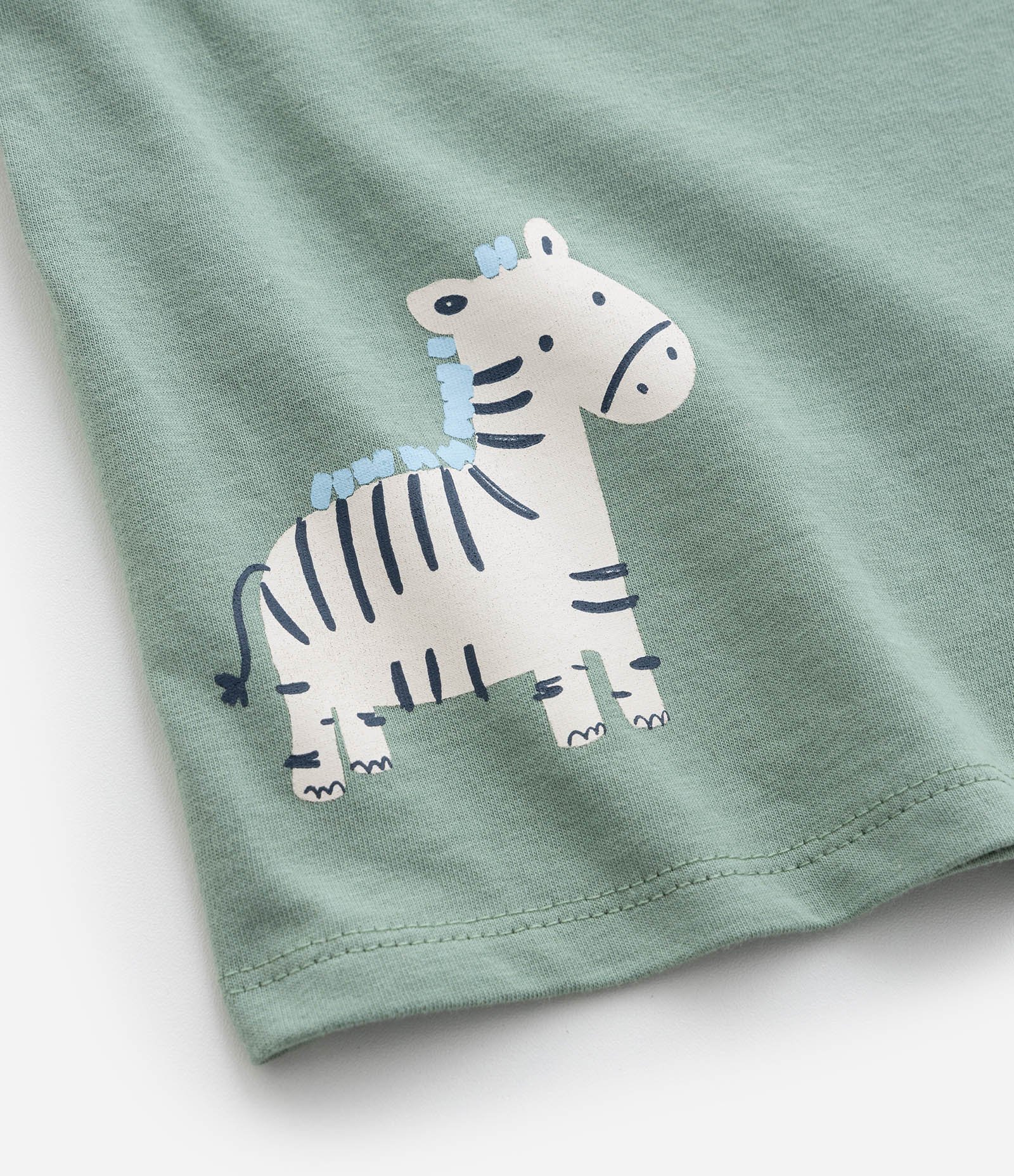 Conjunto Infantil em Algodão com Estampa de Zebra - Tam 0 a 18 meses Verde 12