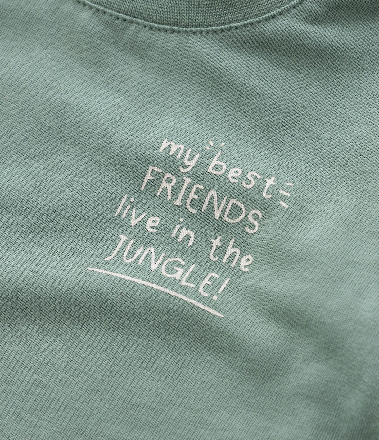 Conjunto Infantil em Algodão com Estampa de Zebra - Tam 0 a 18 meses Verde 13