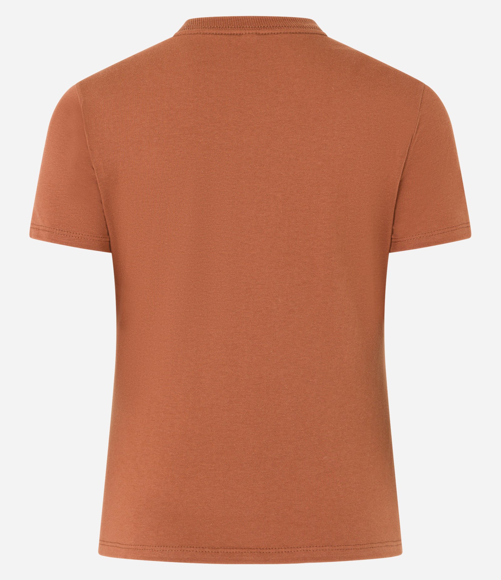 Camiseta Regular Básica em Algodão 6