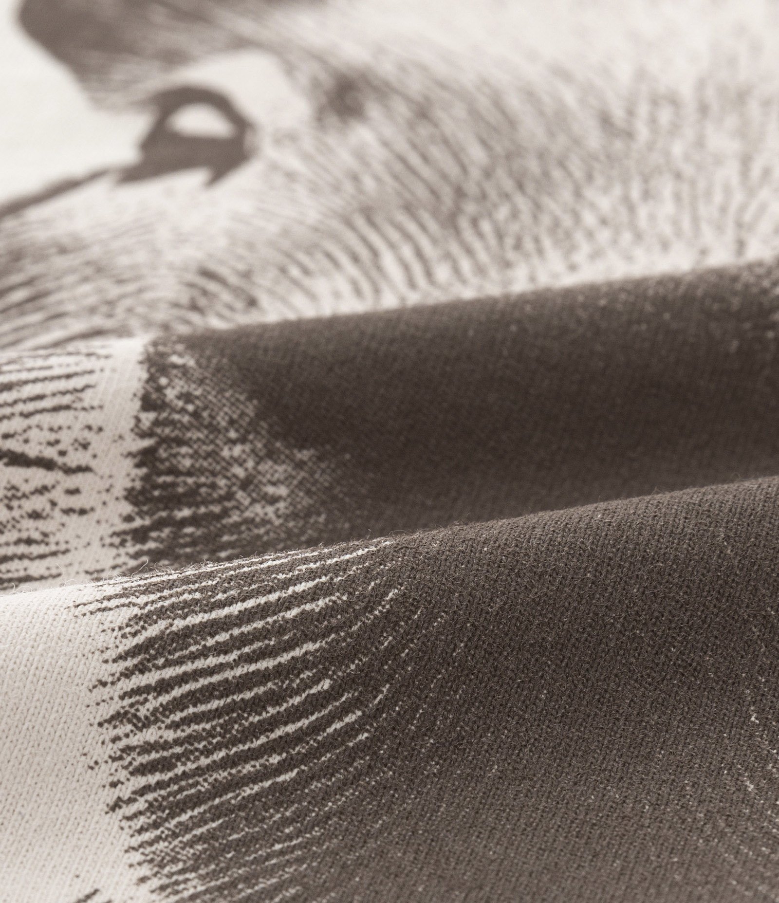 Camiseta Infantil com Estampa Frontal de Capivara - Tam 5 a 14 anos Bege 4