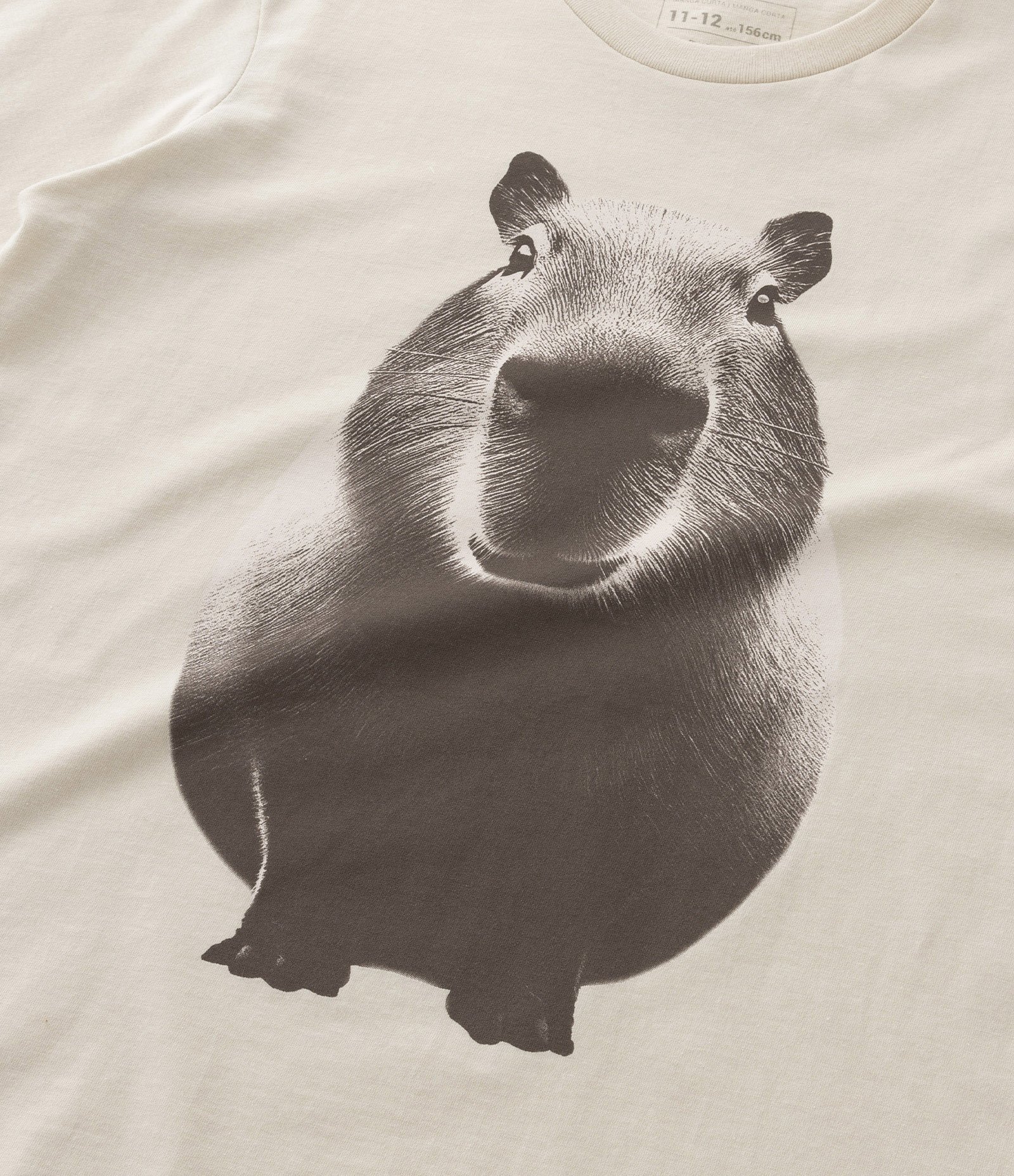 Camiseta Infantil com Estampa Frontal de Capivara - Tam 5 a 14 anos Bege 5