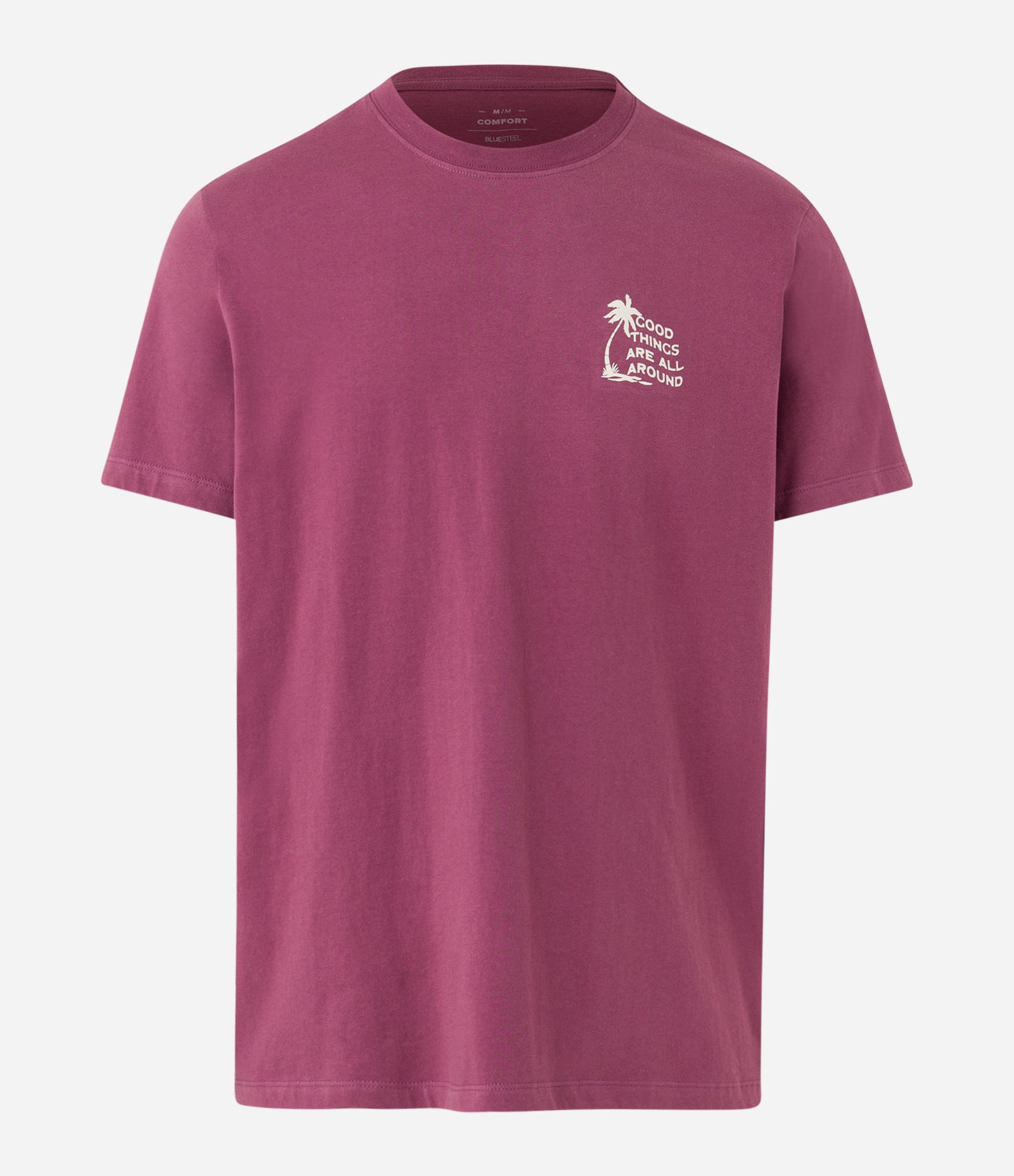 Camiseta Comfort em Malhão com Estampa Lettering Roxo 4