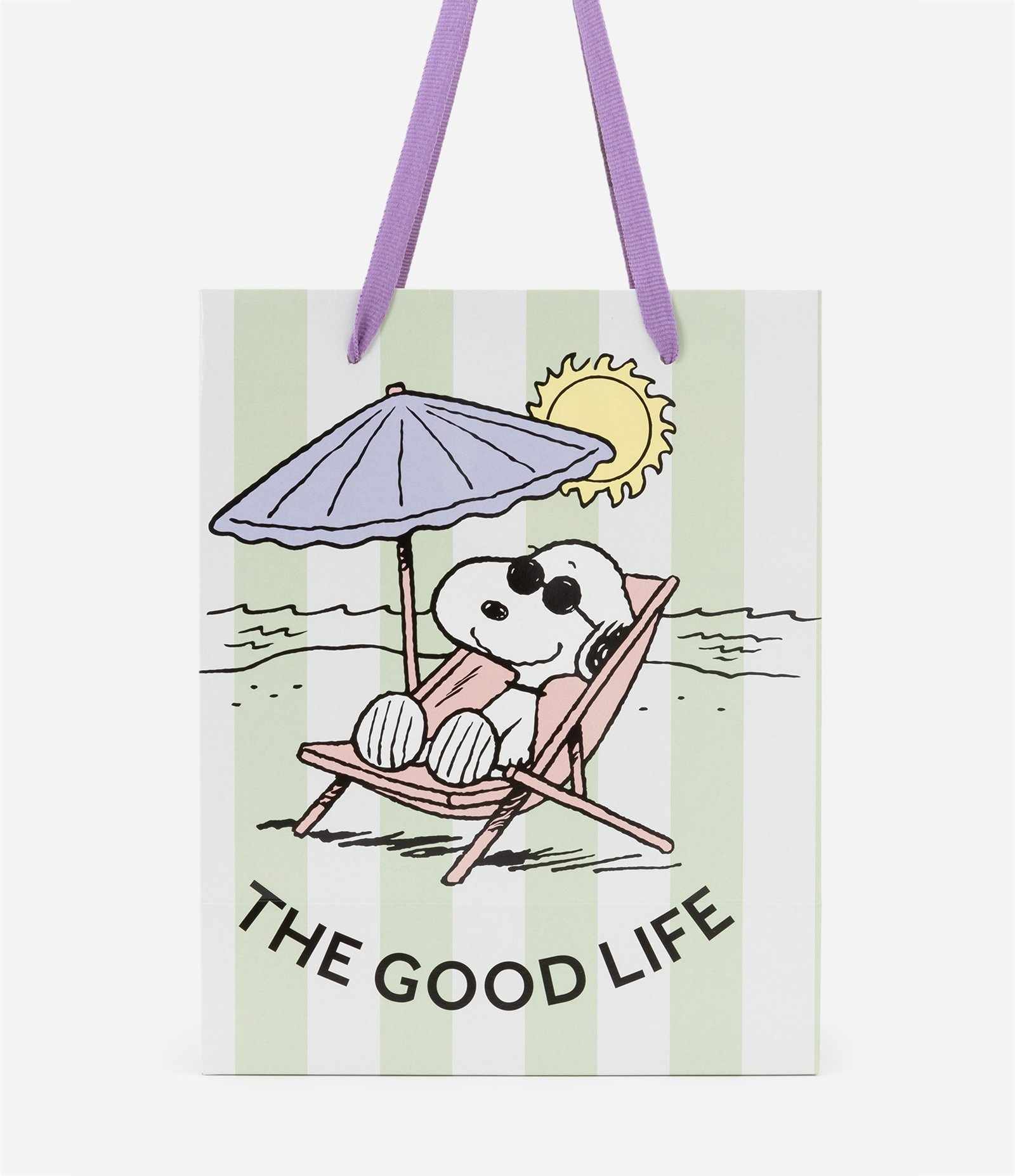 Embalagem de Presente com Estampa do Snoopy Verde 3