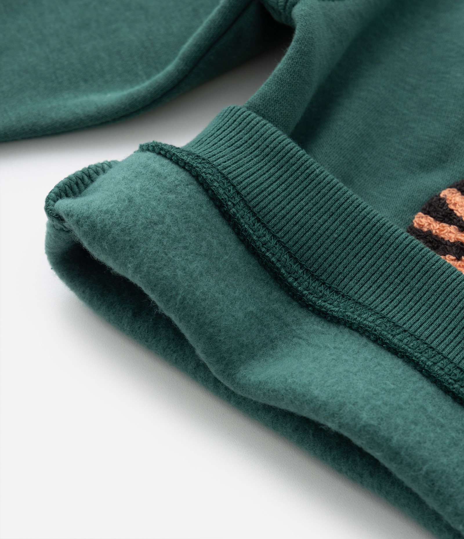 Blusão Infantil em Moletom com Estampa Tigrinho College Baby - Tam 0 a 18 meses Verde 3