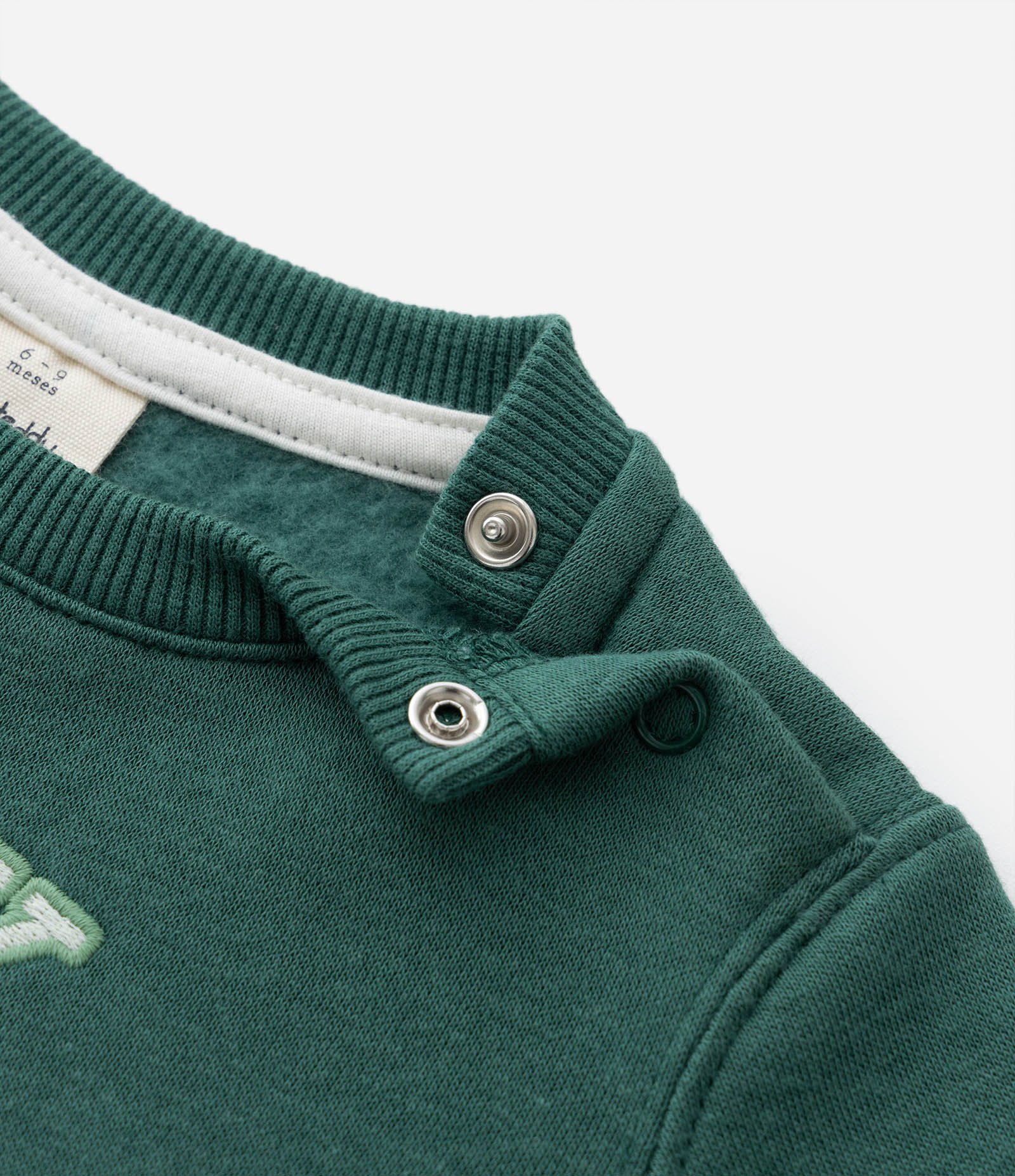 Blusão Infantil em Moletom com Estampa Tigrinho College Baby - Tam 0 a 18 meses Verde 5