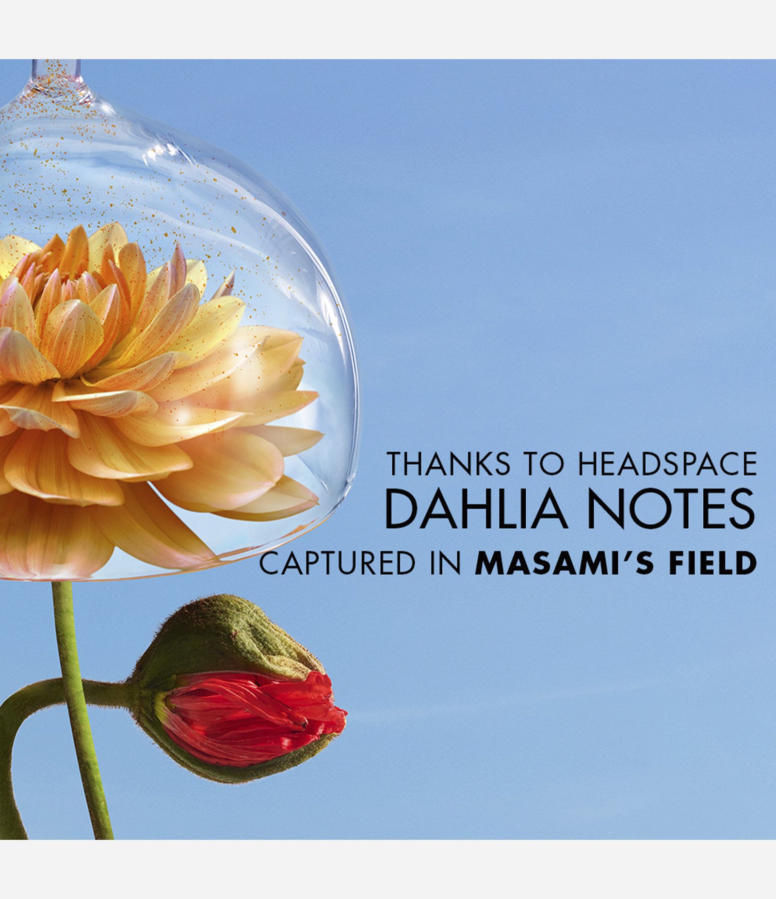 Perfume Flower By Kenzo La Recolte Parisienne Eau de Parfum Feminino 40ML 4