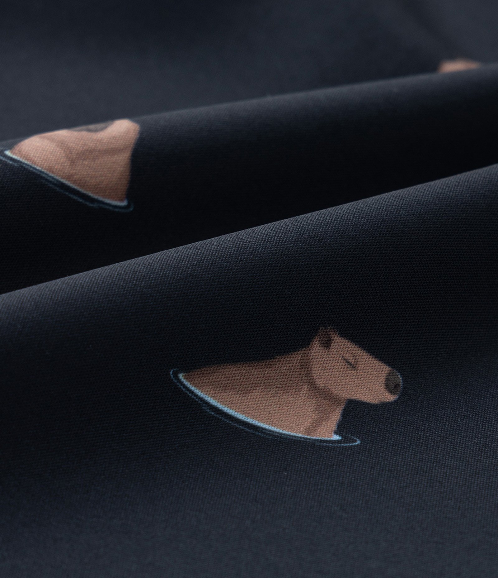 Bermuda Infantil com Cintura Elástica e Estampa de Capivaras - Tam 5 a 14 anos Azul Marinho 3