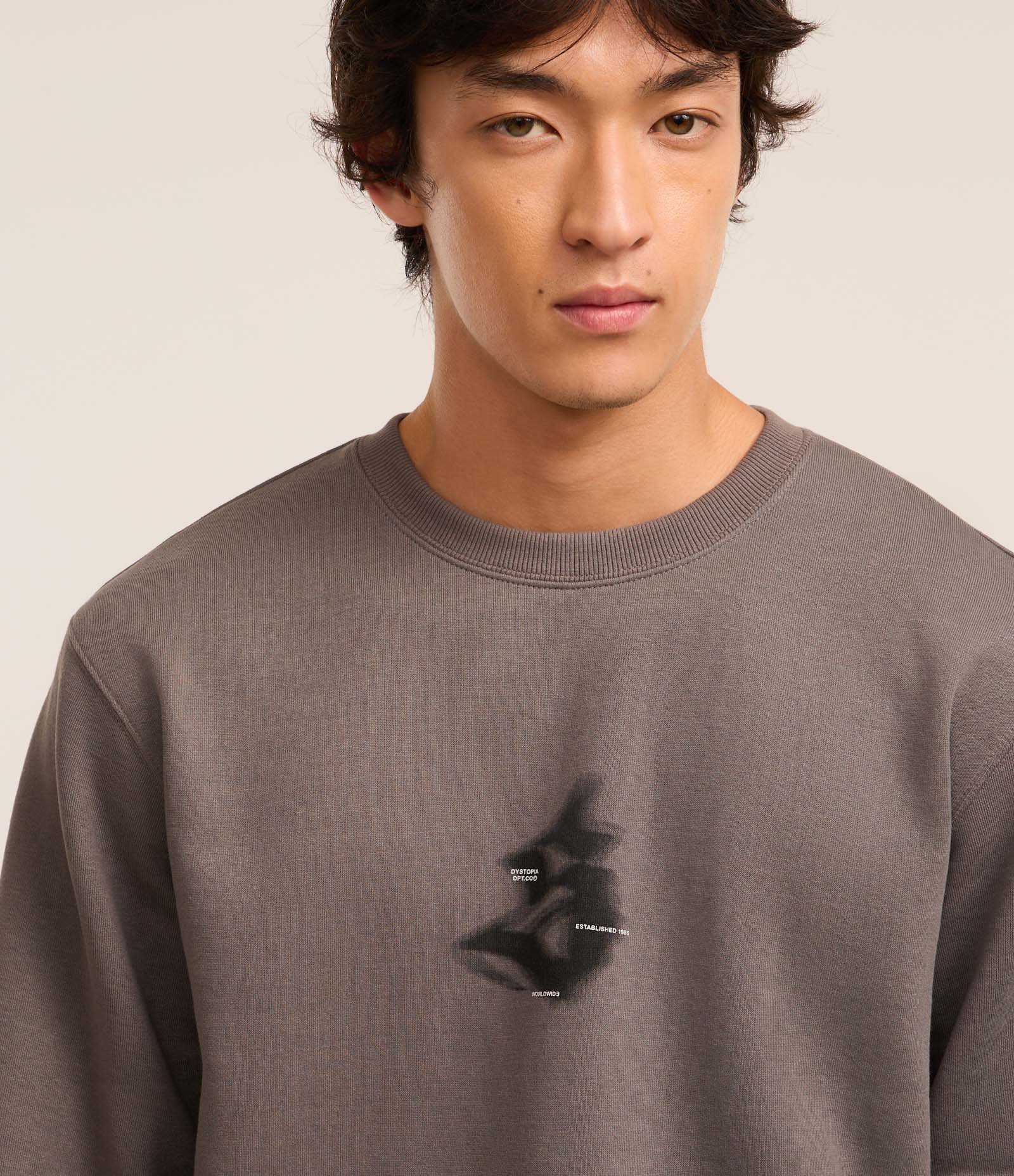 Casaco Fechado em Fleece com Estampa Frente e Costas Butterfly Collapse Cinza 4