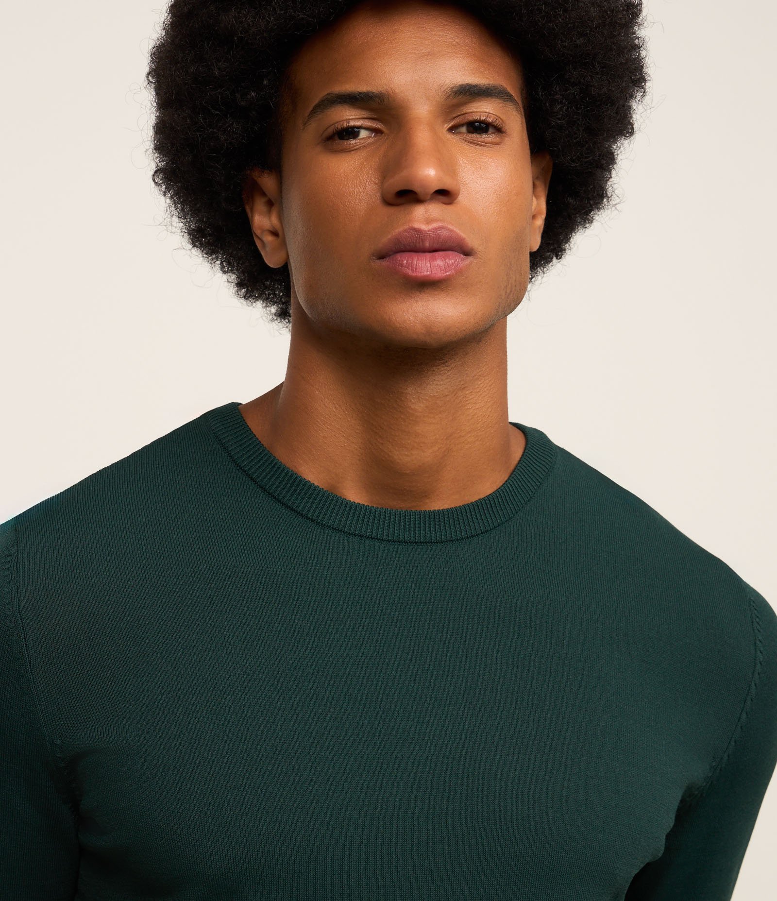Suéter Básico em Viscose com Gola Redonda Verde Escuro 6
