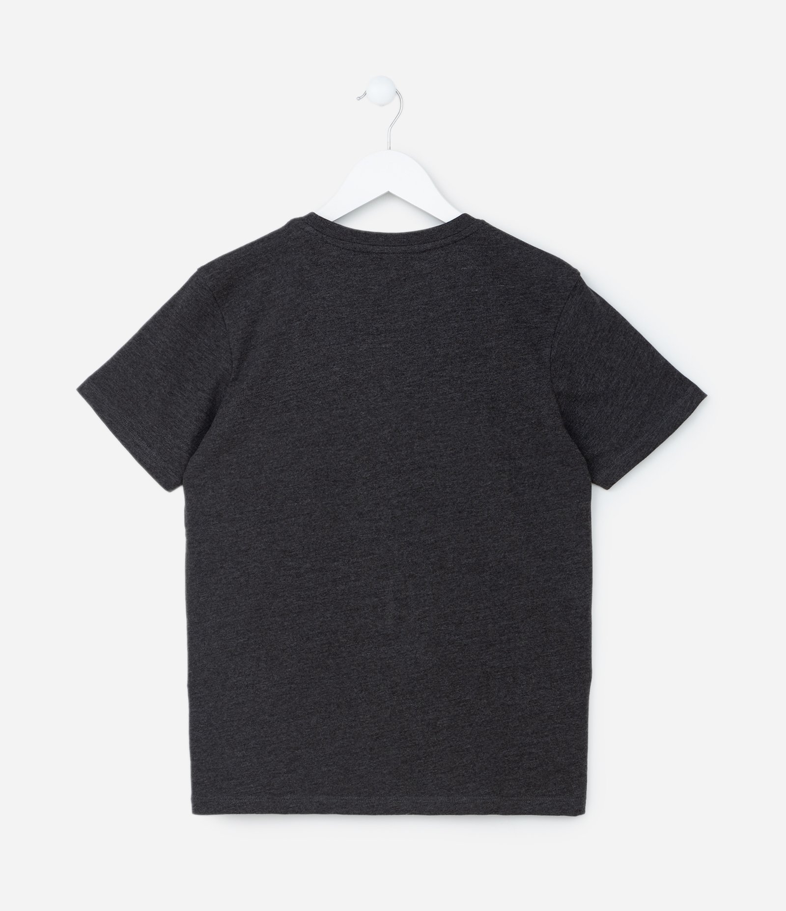 Camiseta Infantil com Estampa Montanhas - Tam 5 a 14 Anos Cinza 2