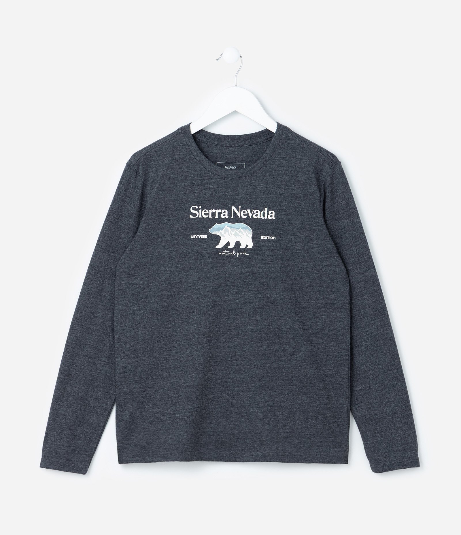 Camiseta Infantil com Estampa Lettering Sierra Nevada - Tam 5 a 14 Anos Cinza 1