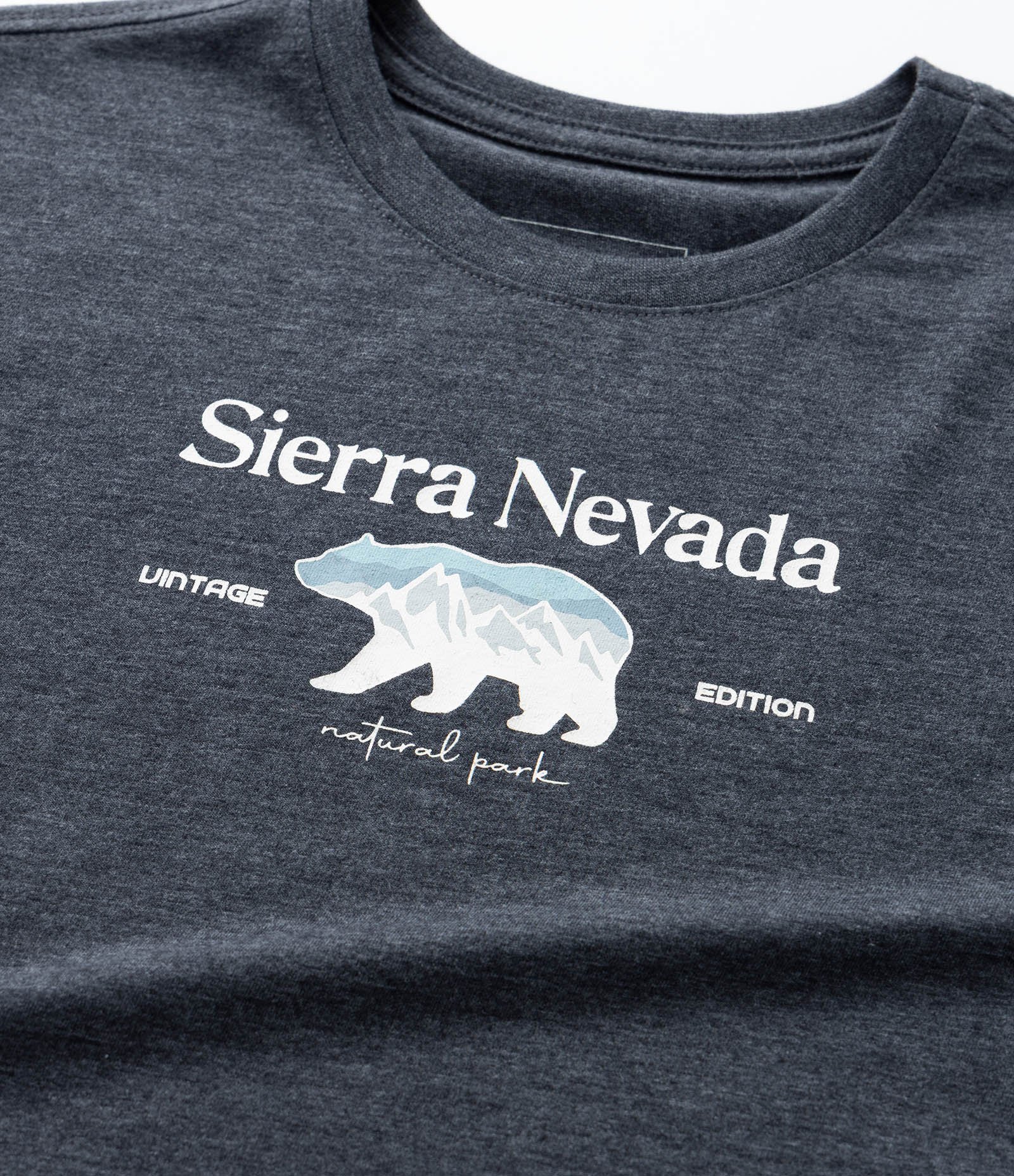 Camiseta Infantil com Estampa Lettering Sierra Nevada - Tam 5 a 14 Anos Cinza 4