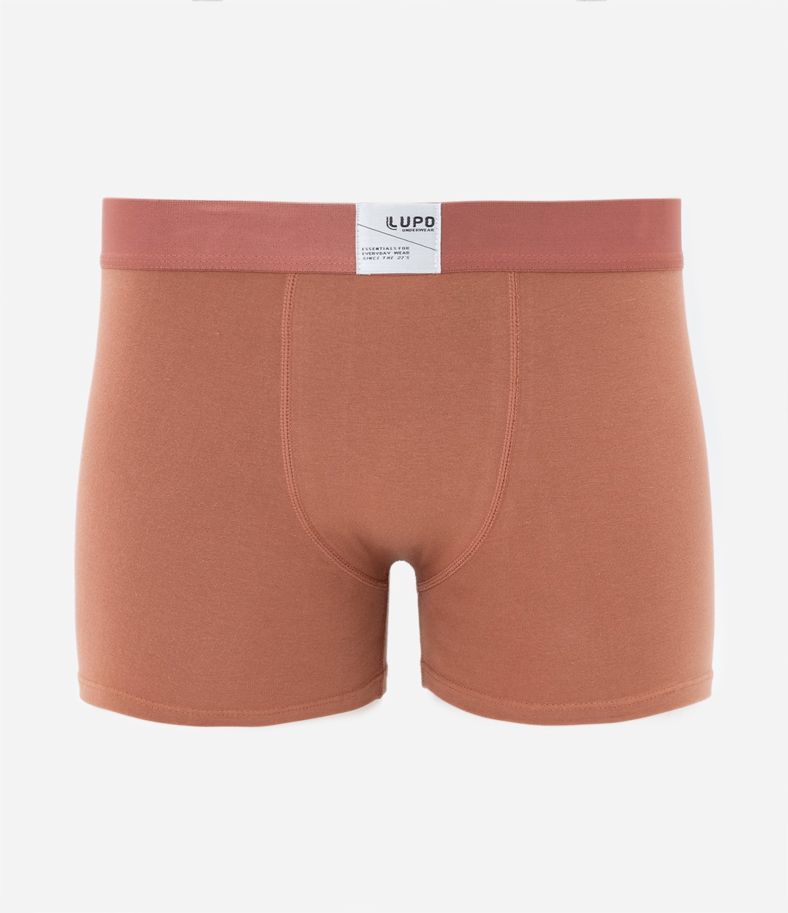 Cueca Boxer em Algodão com Detalhe Lupo 1