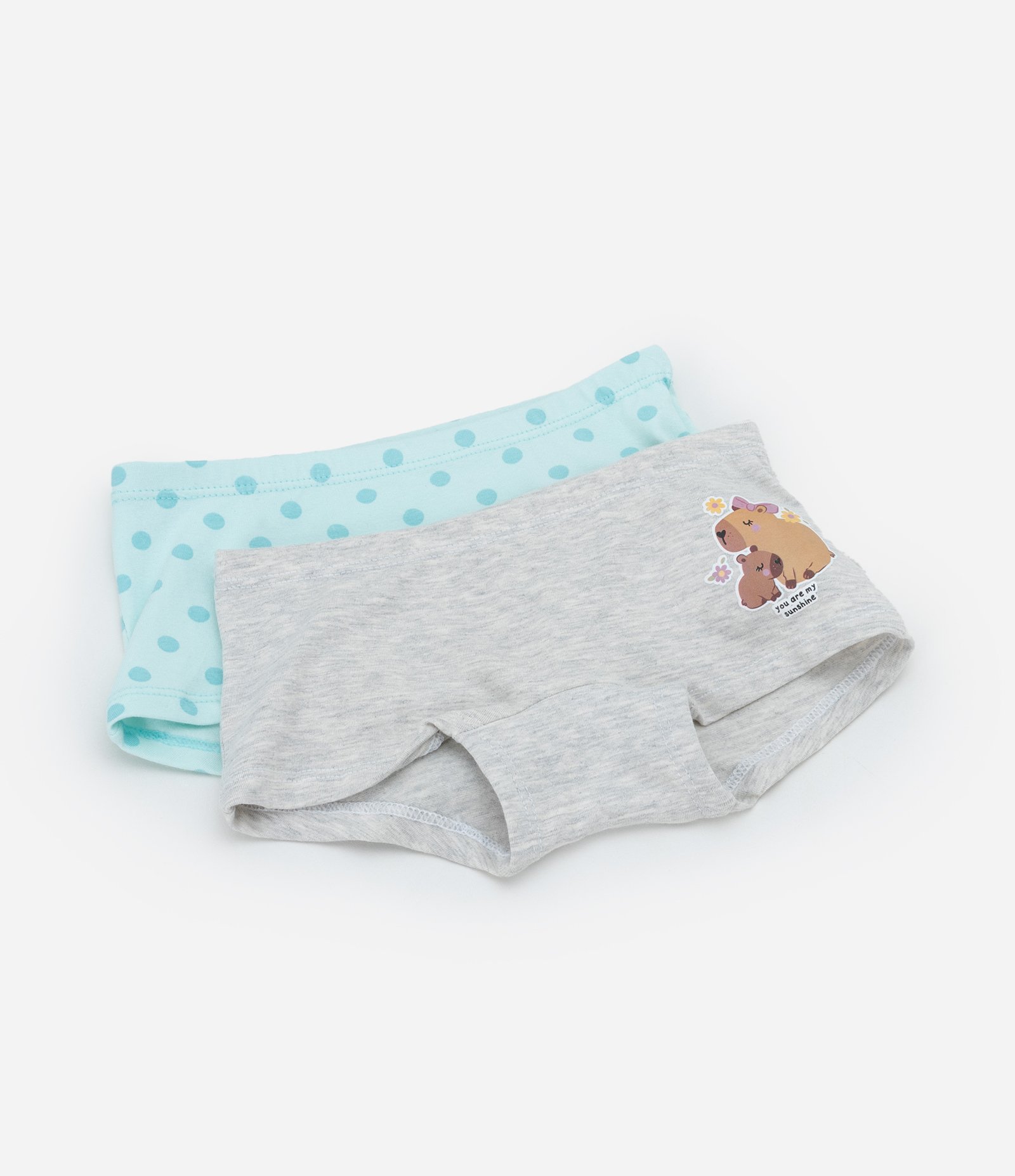 Kit 02 Calcinhas Boxer Infantil com Estampa Capivara - Tam 4 a 12 Anos Azul/Cinza 1
