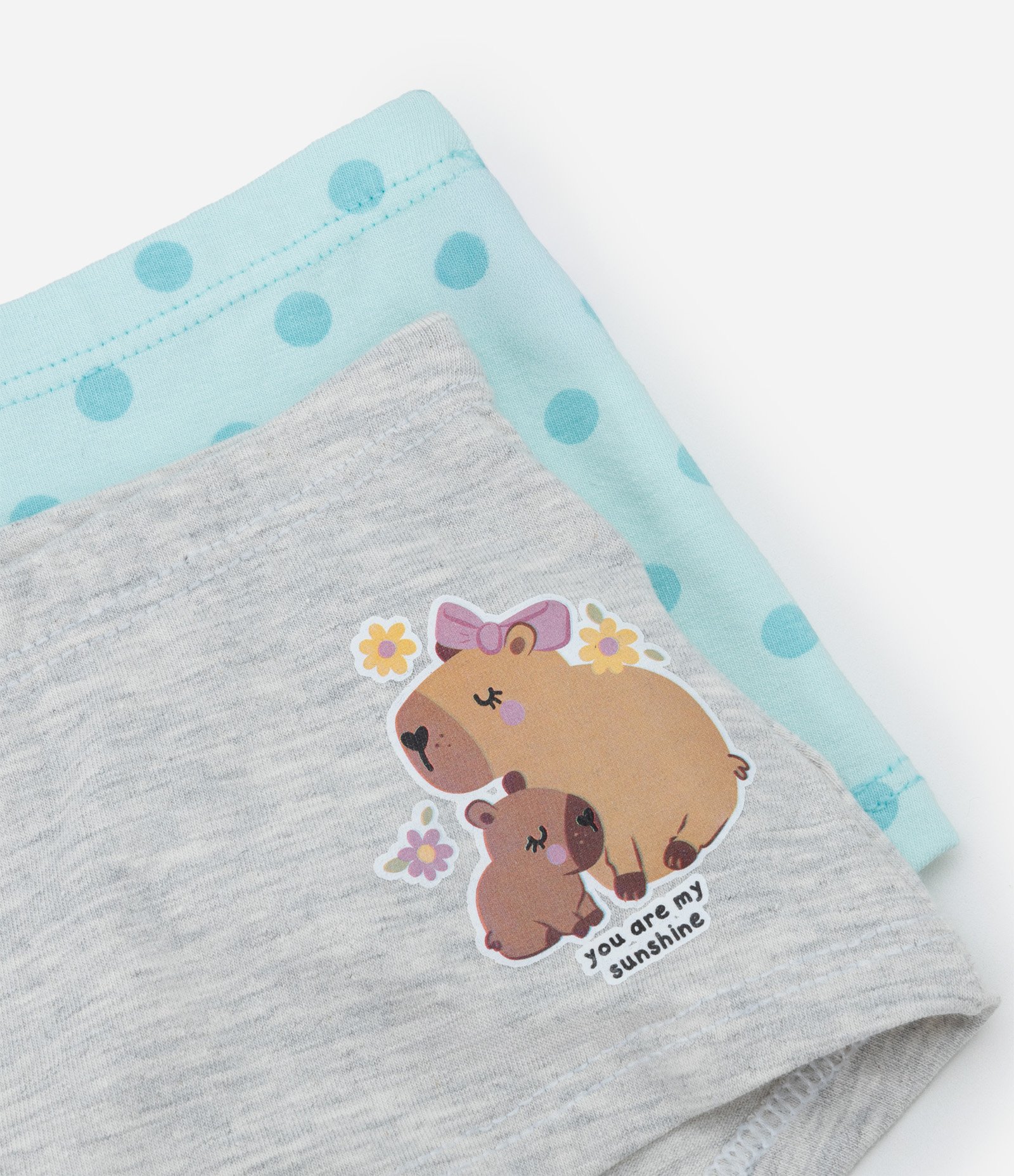 Kit 02 Calcinhas Boxer Infantil com Estampa Capivara - Tam 4 a 12 Anos Azul/Cinza 3