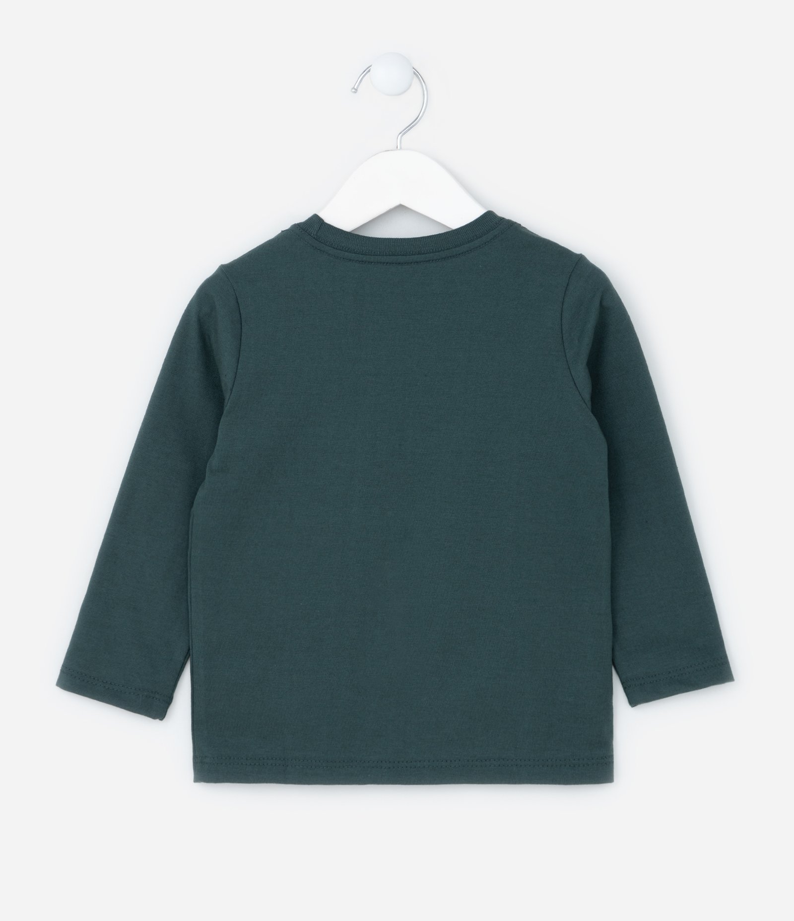 Camiseta Infantil com Estampa de Dino - Tam 1 a 6 Anos Verde 2