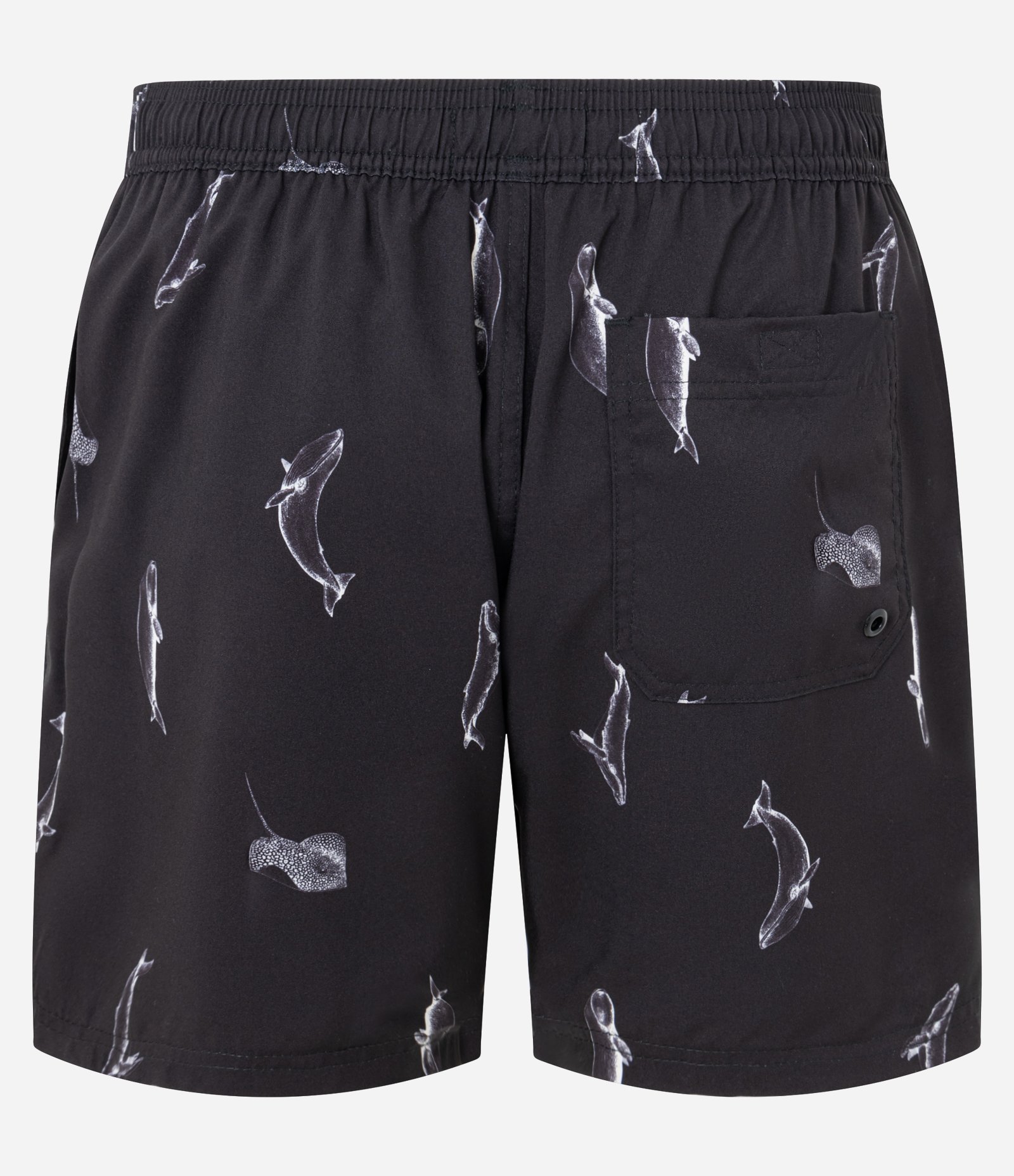 Bermuda de Banho em Microfibra com Estampa Mini Baleias Preto 5