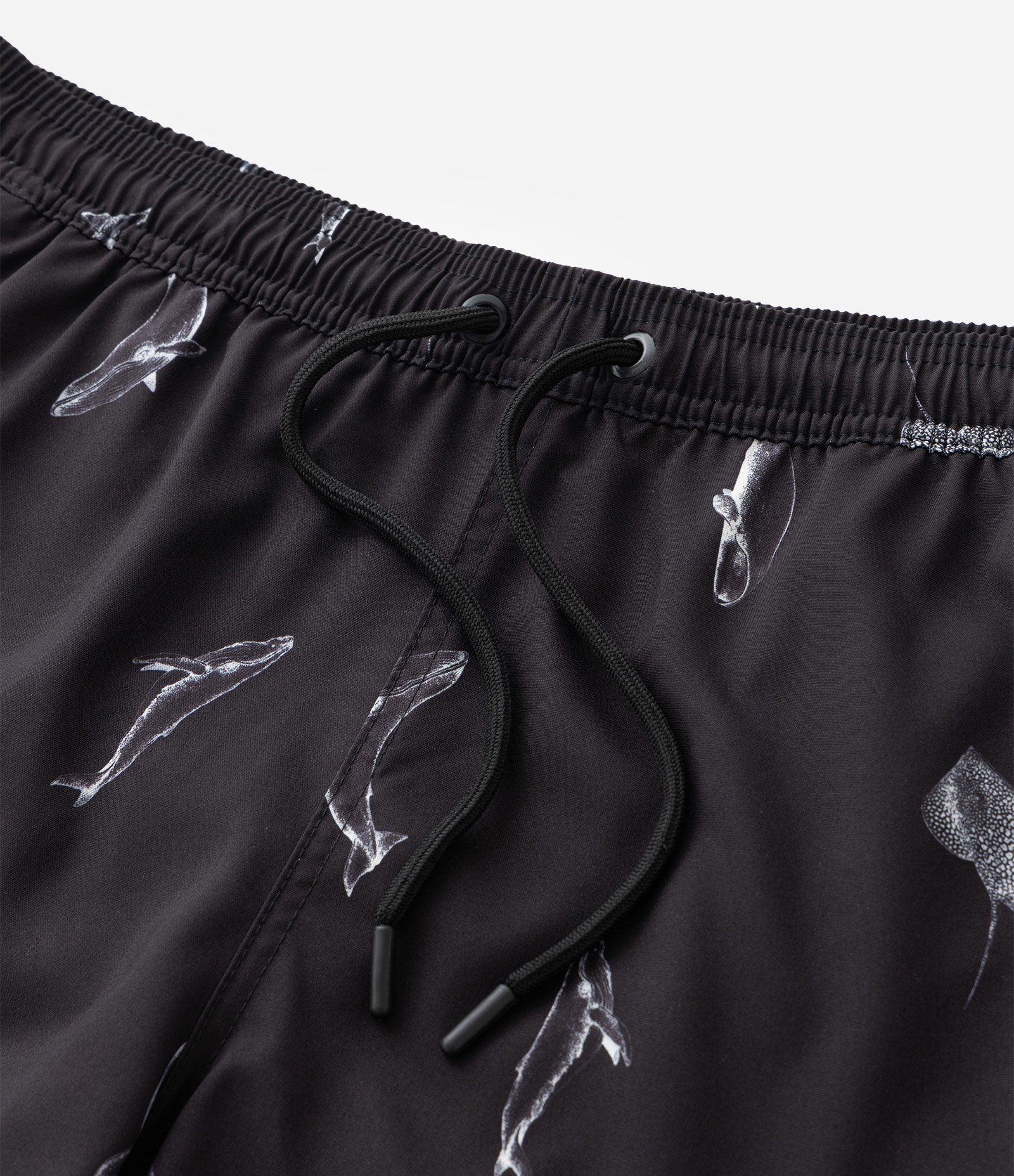 Bermuda de Banho em Microfibra com Estampa Mini Baleias Preto 6