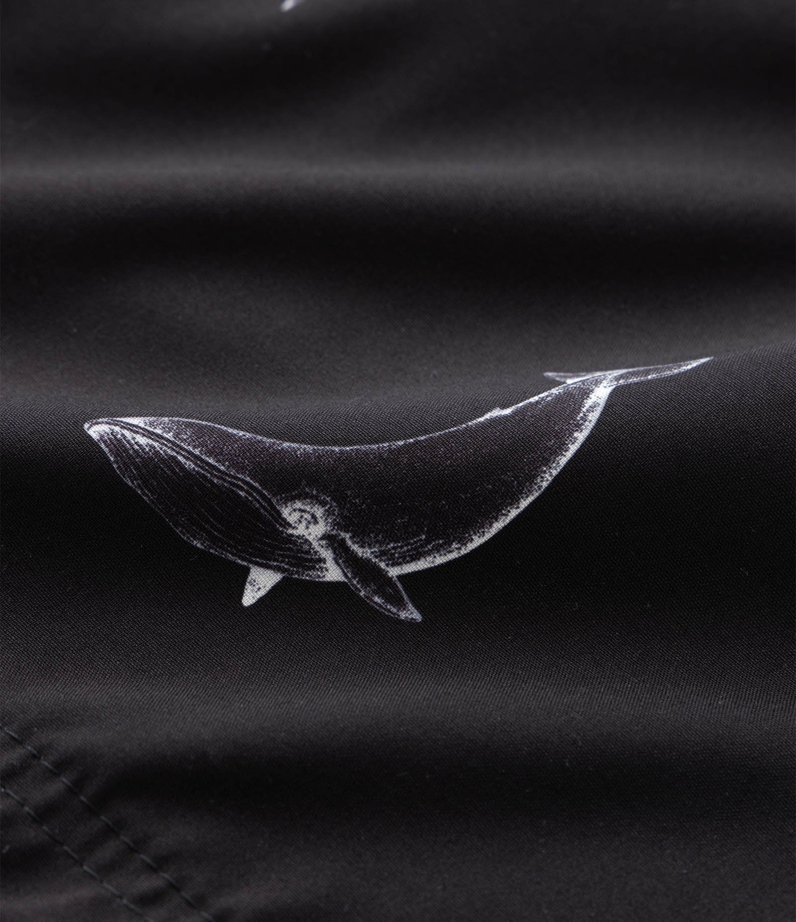 Bermuda de Banho em Microfibra com Estampa Mini Baleias Preto 7