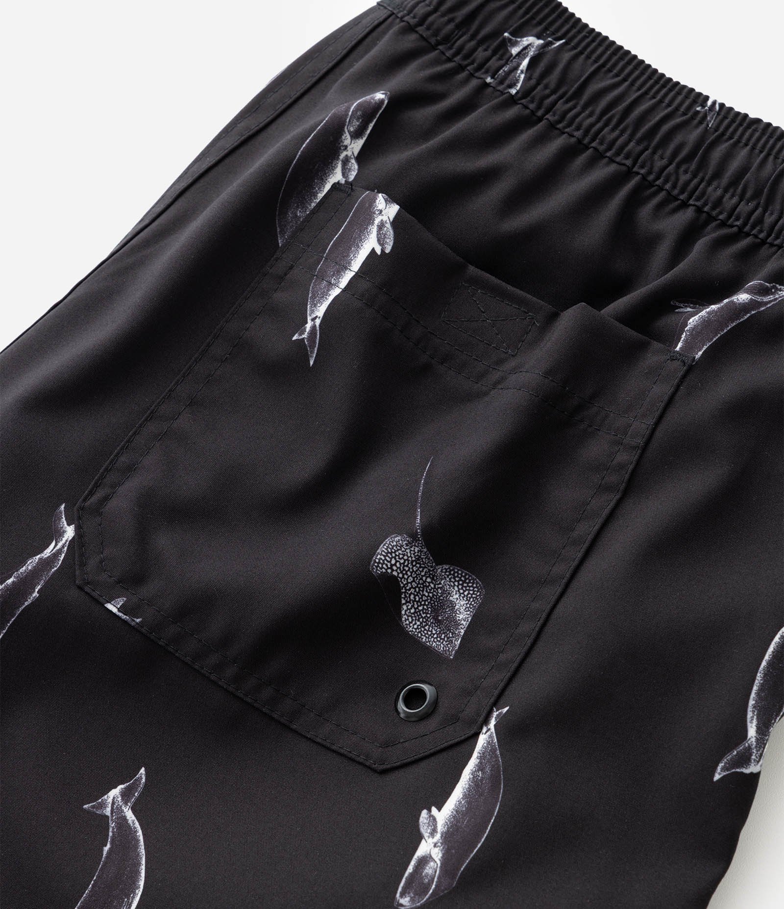 Bermuda de Banho em Microfibra com Estampa Mini Baleias Preto 8