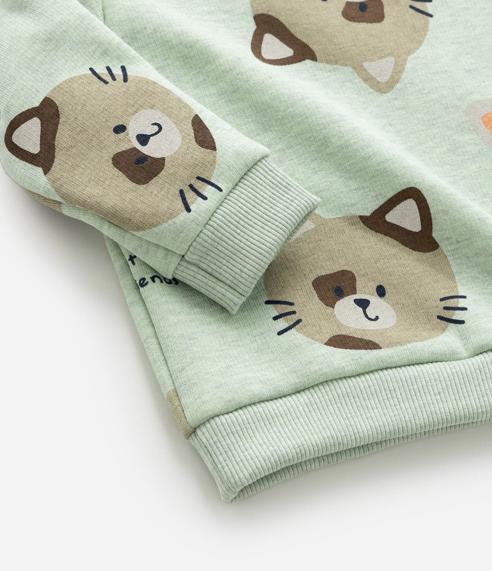 Blusão Infantil Quentinho com Estampa Bichinhos - Tam 0 a 18 meses Verde 6