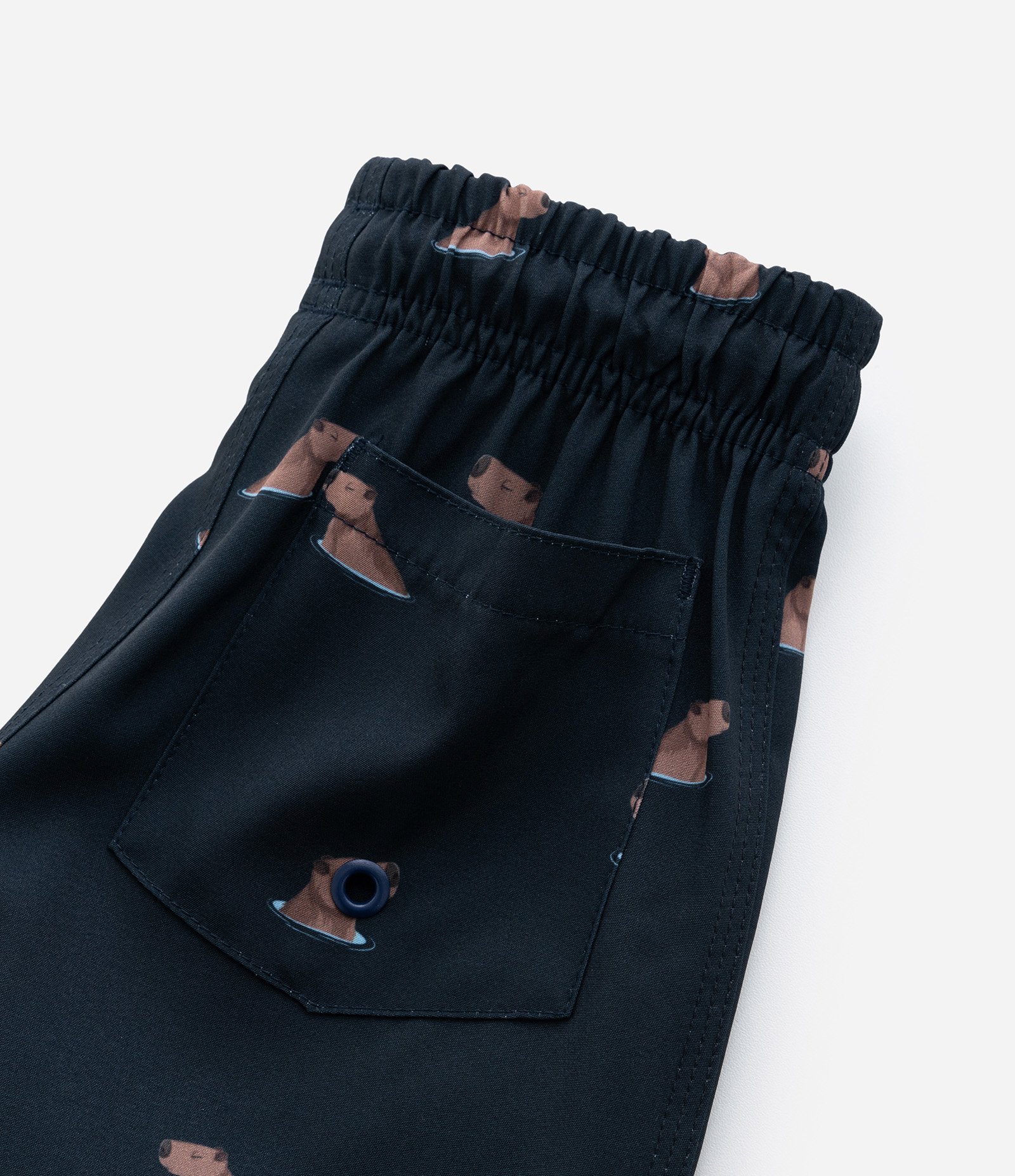 Bermuda Infantil com Estampa de Capivaras - Tam 1 a 5 Anos Azul 4