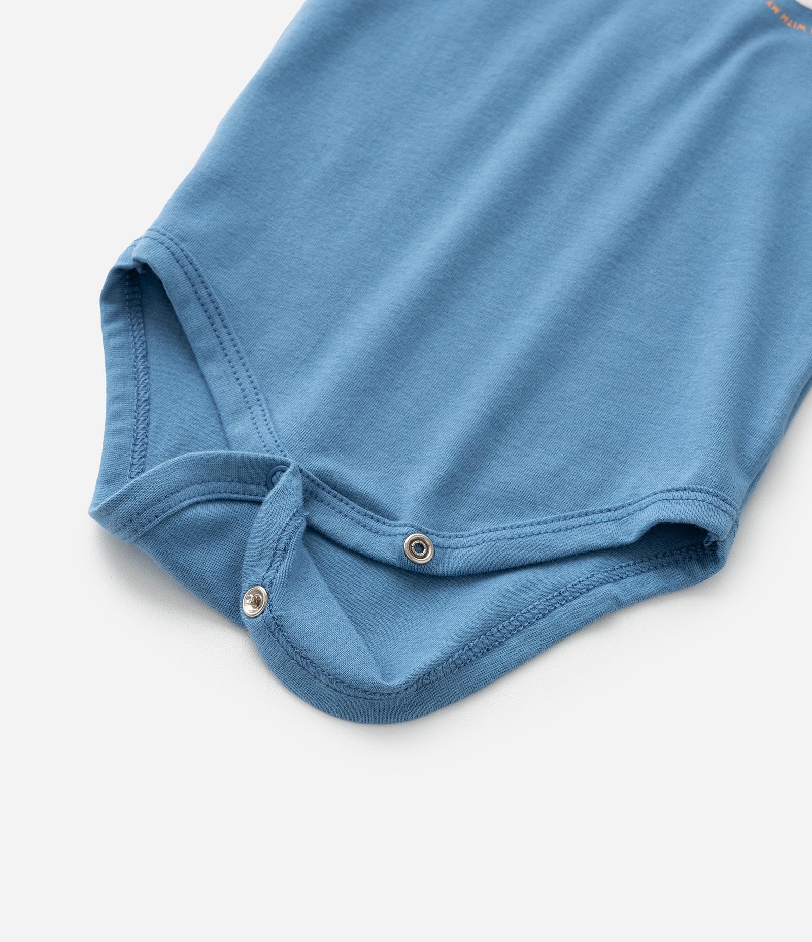 Body Infantil com Estampa Cachorrinho - Tam 0 a 18 meses Azul 5