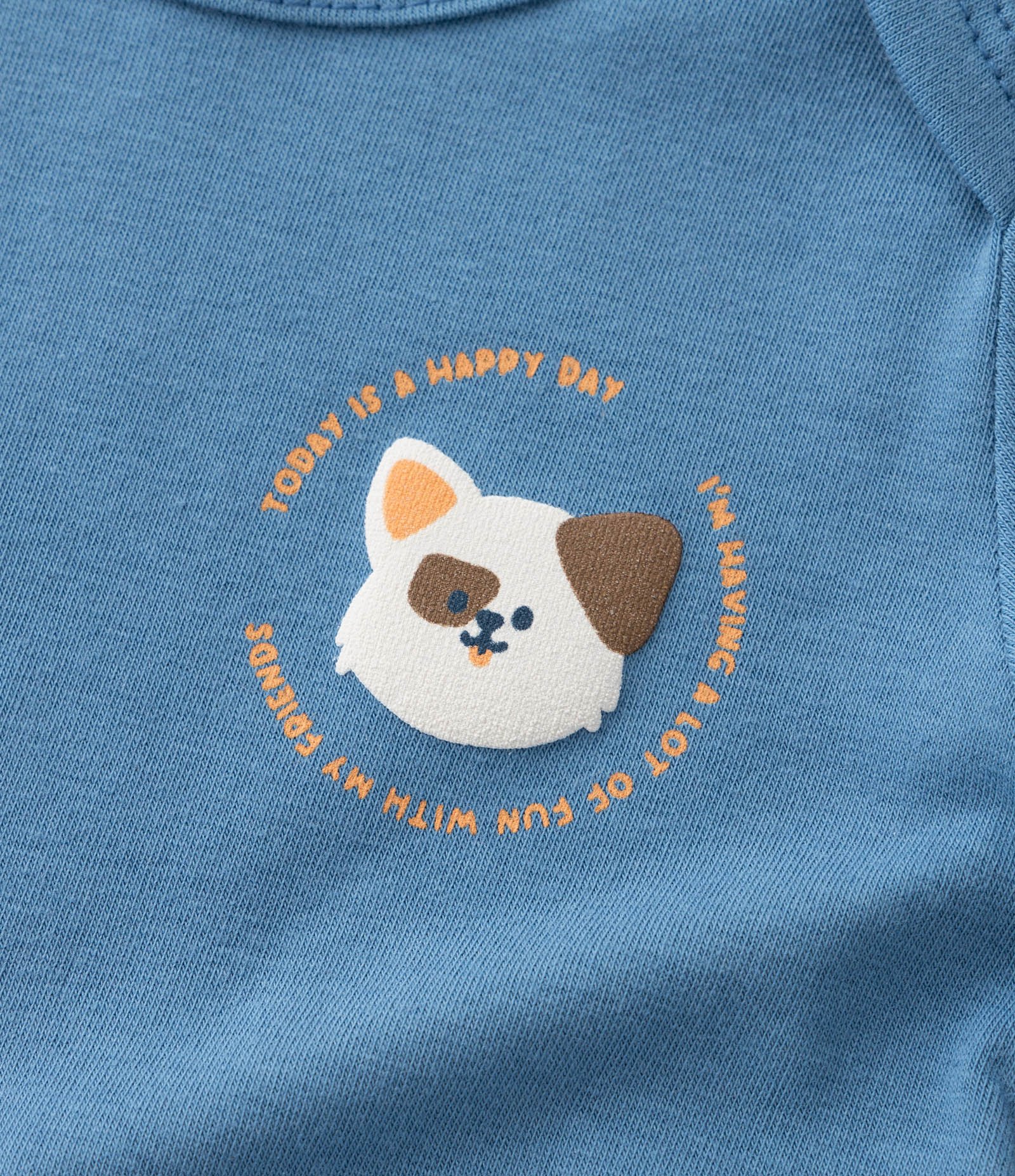 Body Infantil com Estampa Cachorrinho - Tam 0 a 18 meses Azul 6