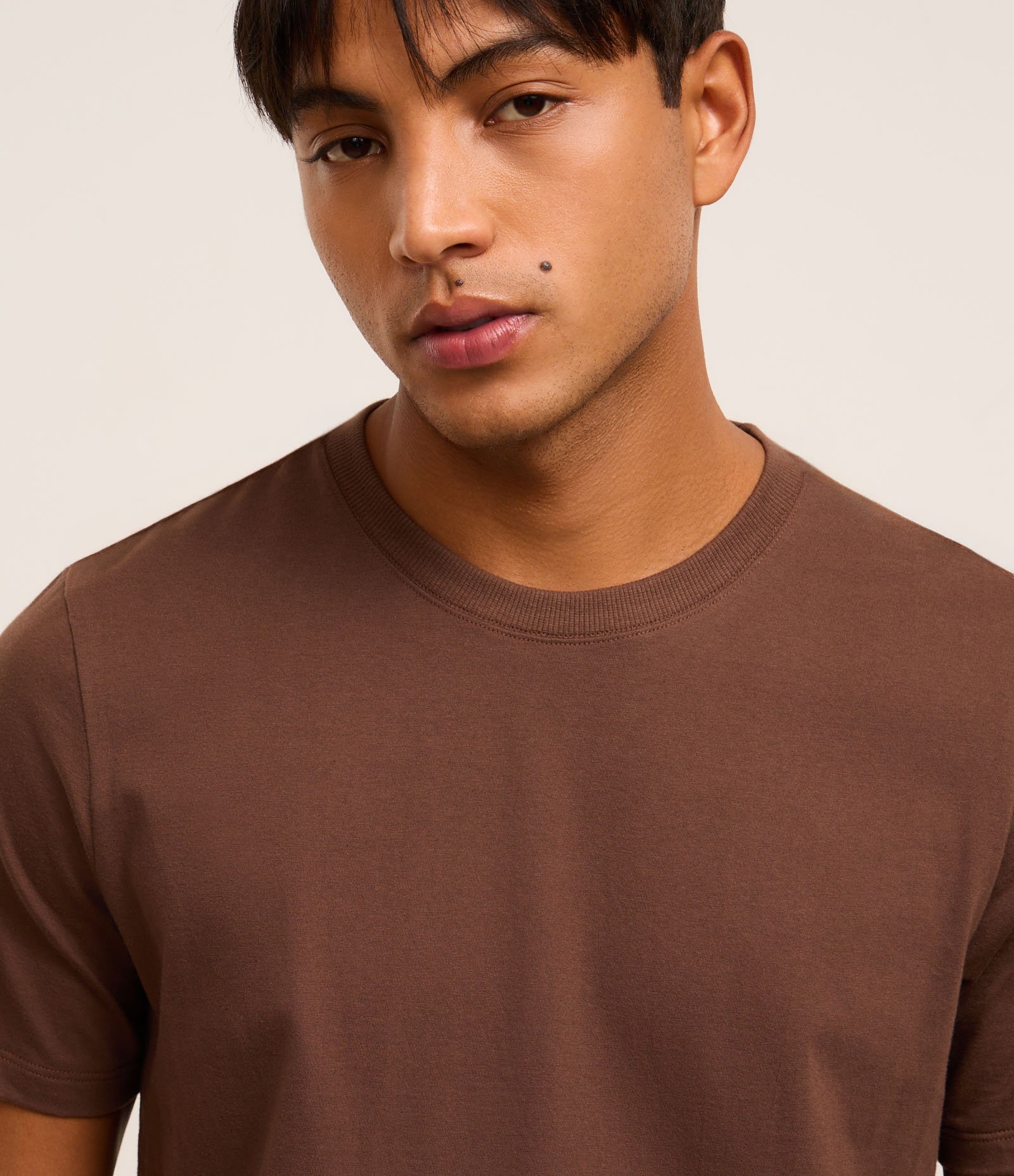 Camiseta Regular Básica em Algodão Marrom 4