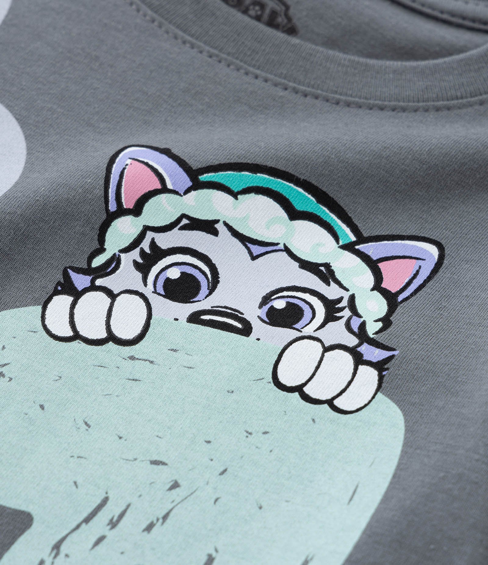 Camiseta Infantil com Estampa Patrulha Canina e Corações - Tam 2 a 6 Anos Cinza 4