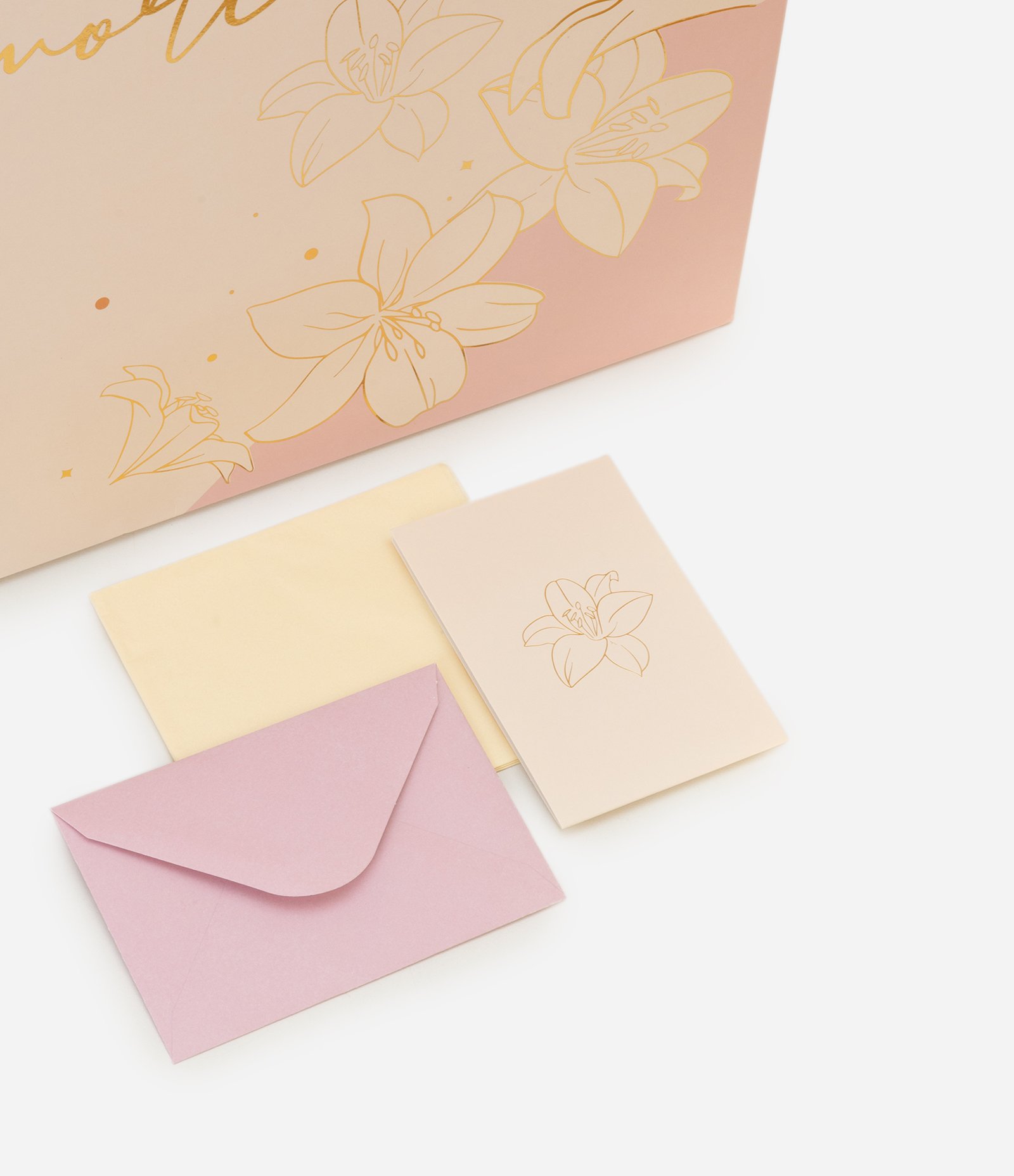 Embalagem de Presente Grande com Estampa Amore e Cartão com Envelope Bege 4