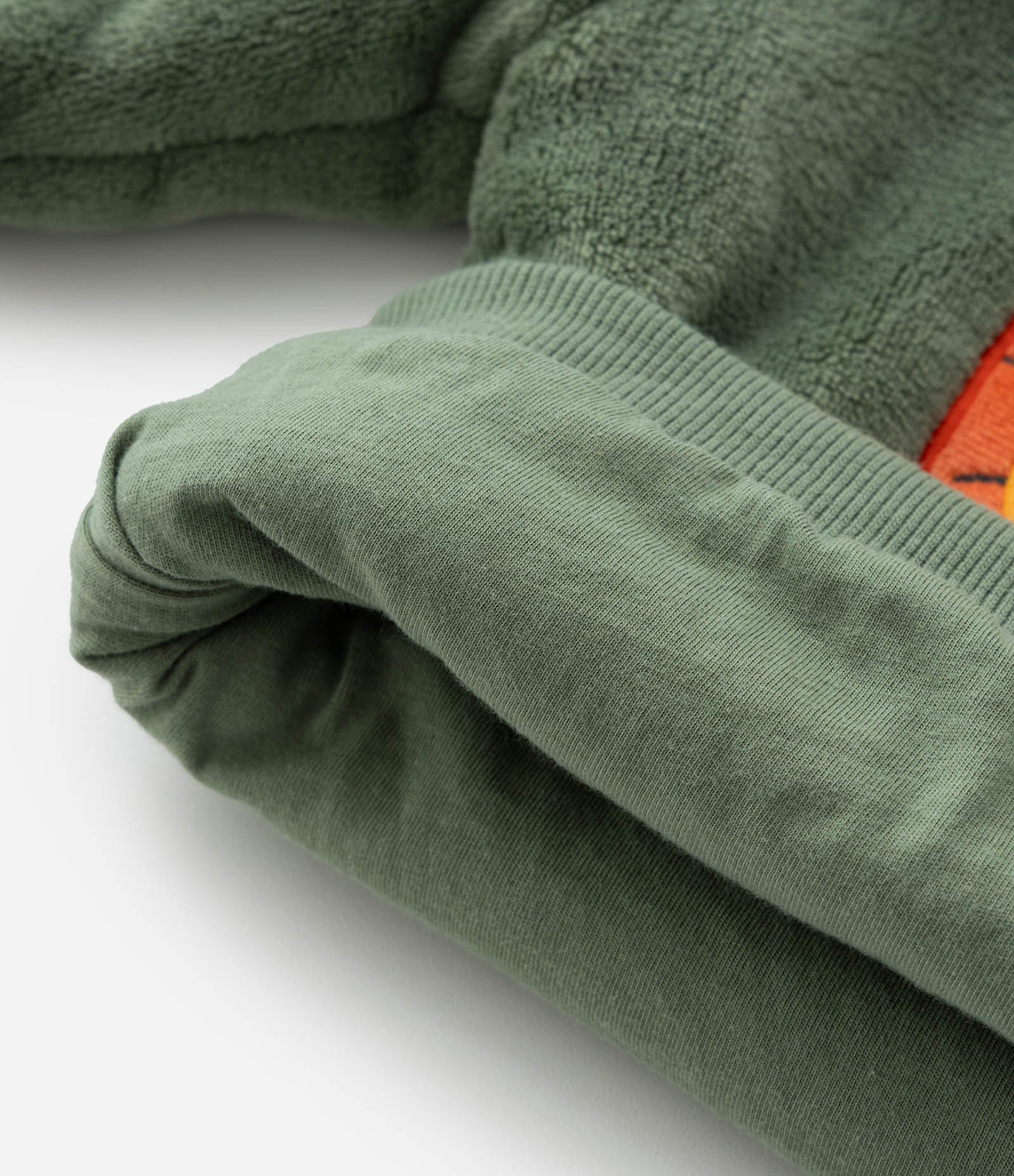 Conjunto Infantil em Fleece com Bordado de Leão - Tam 0 a 18 meses Verde 9