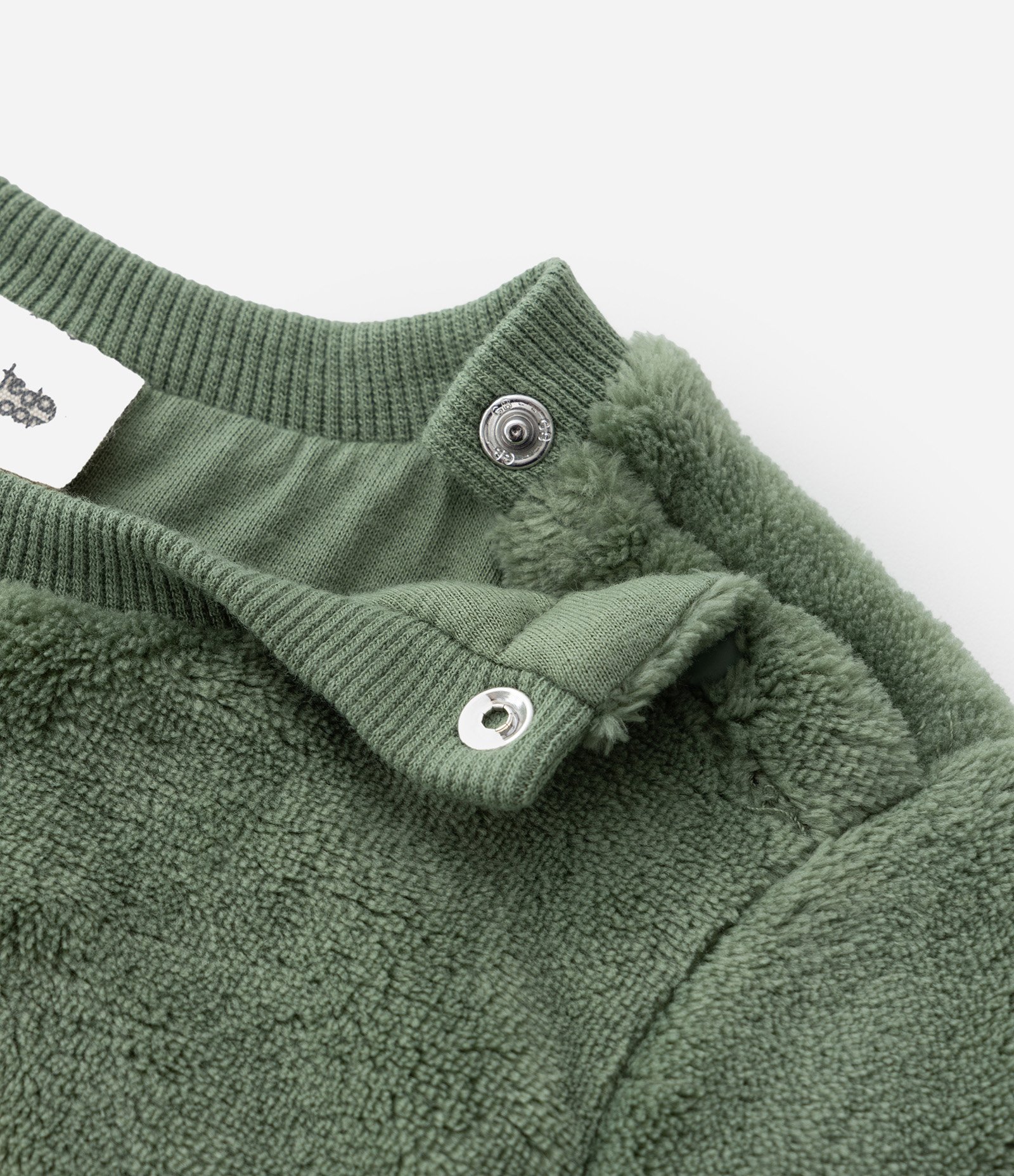 Conjunto Infantil em Fleece com Bordado de Leão - Tam 0 a 18 meses Verde 10